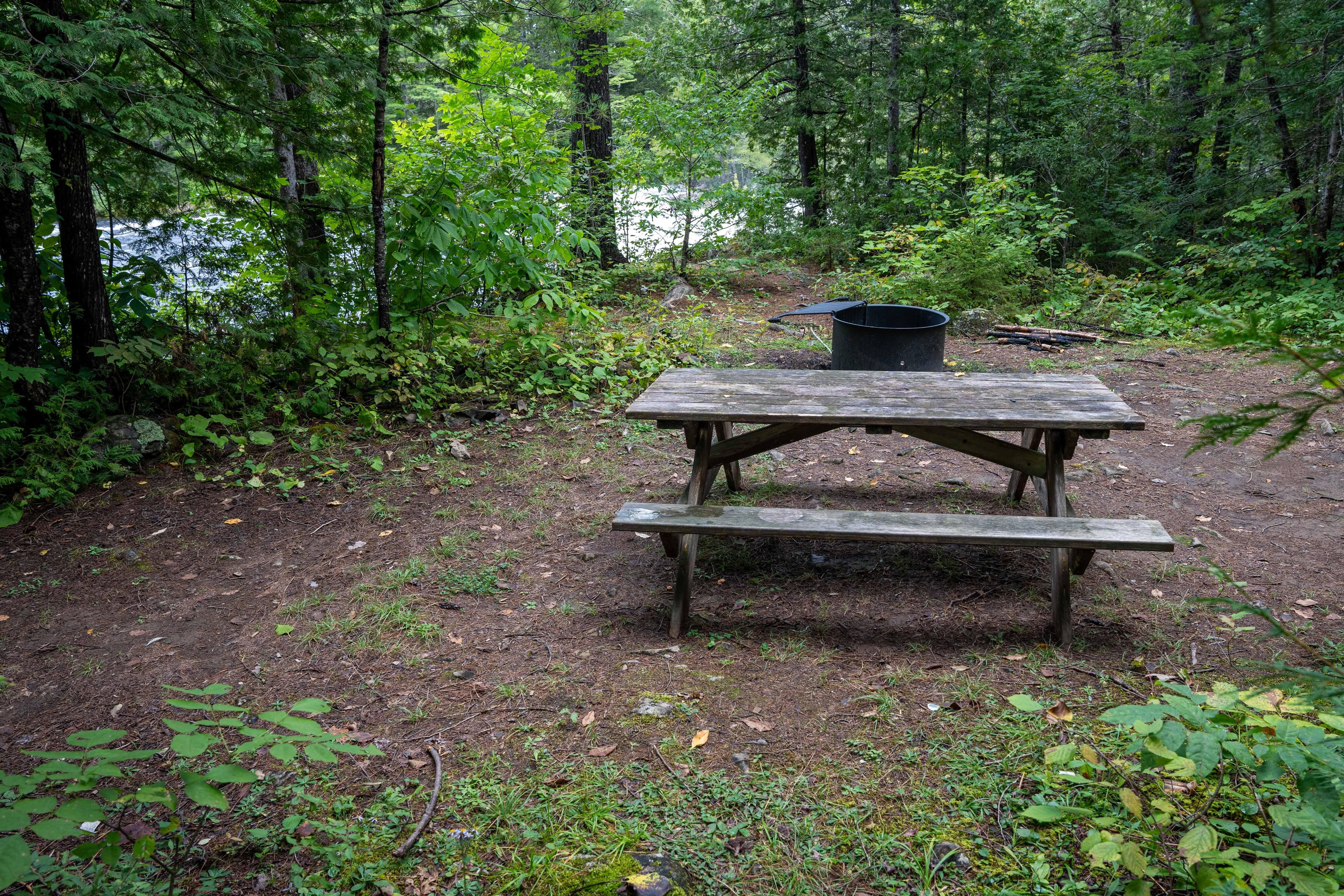 Pond Pitch Campsite is equipped as an area for campers and paddlers