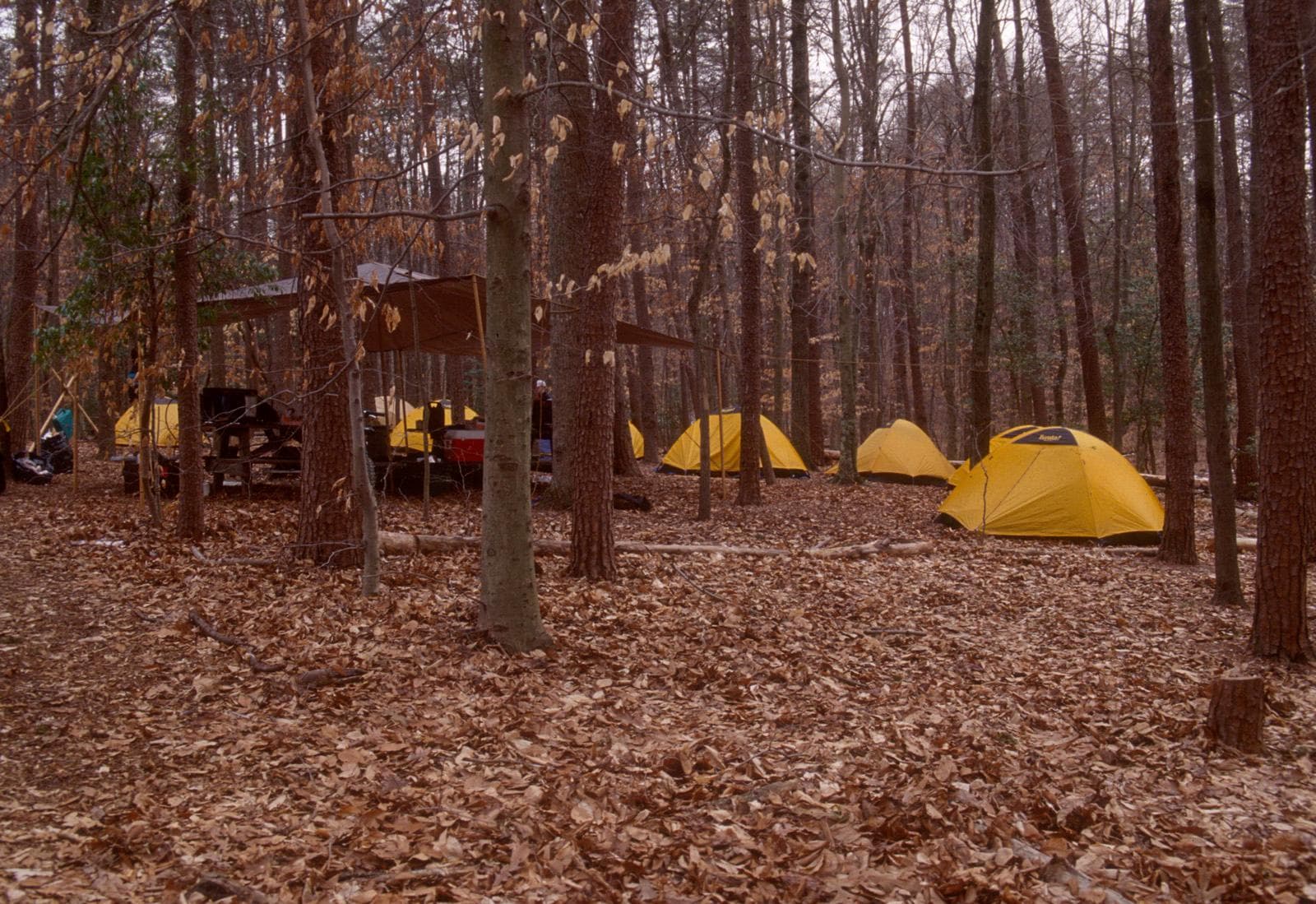 Campers at Turkey Run