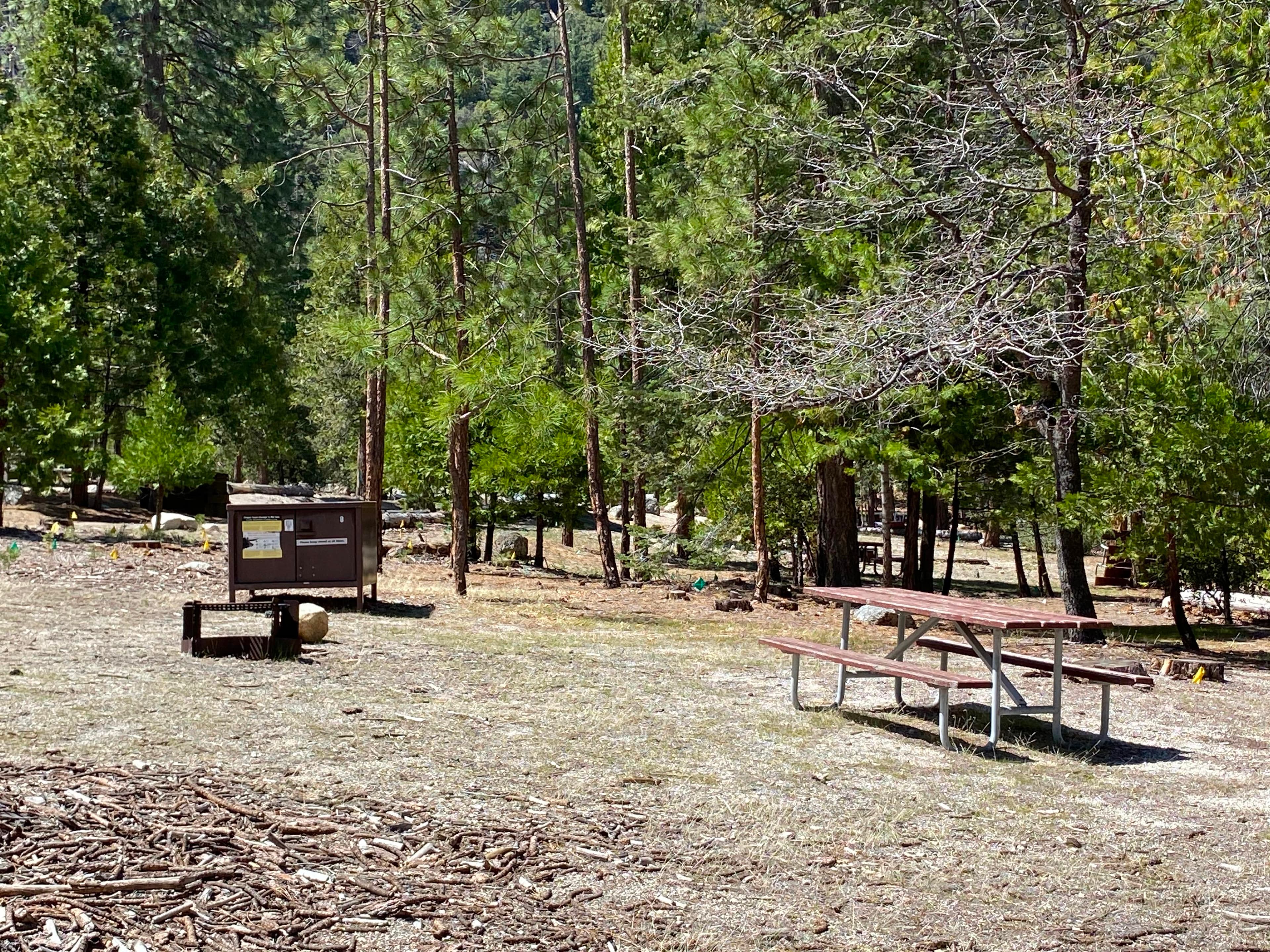 A campsite in Moraine Campground