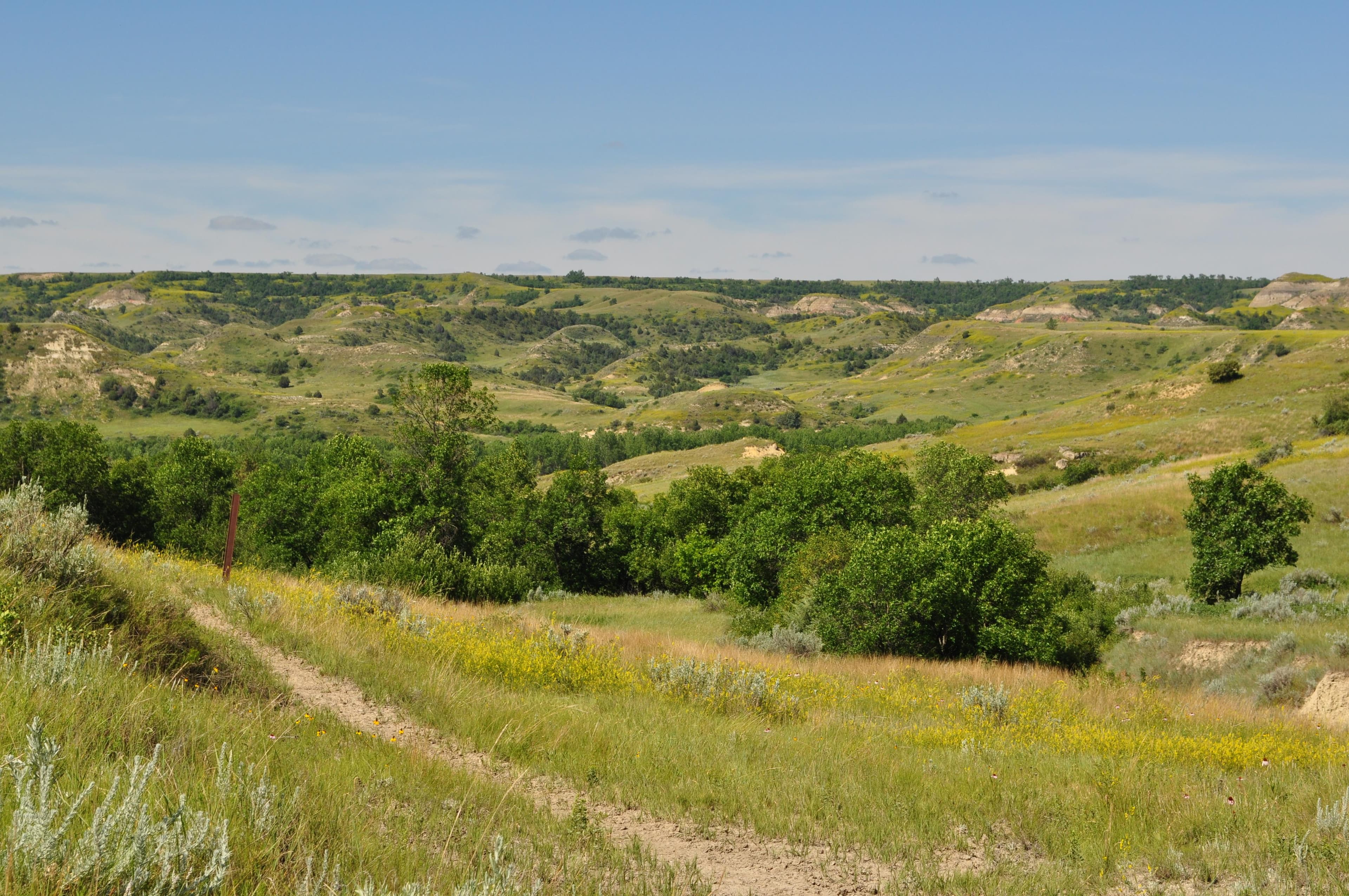 The Mike Auney Trail begins at Roundup Group Horse Camp and takes hikers and riders west across the Little Missouri River and into the Theodore Roosevelt Wilderness.