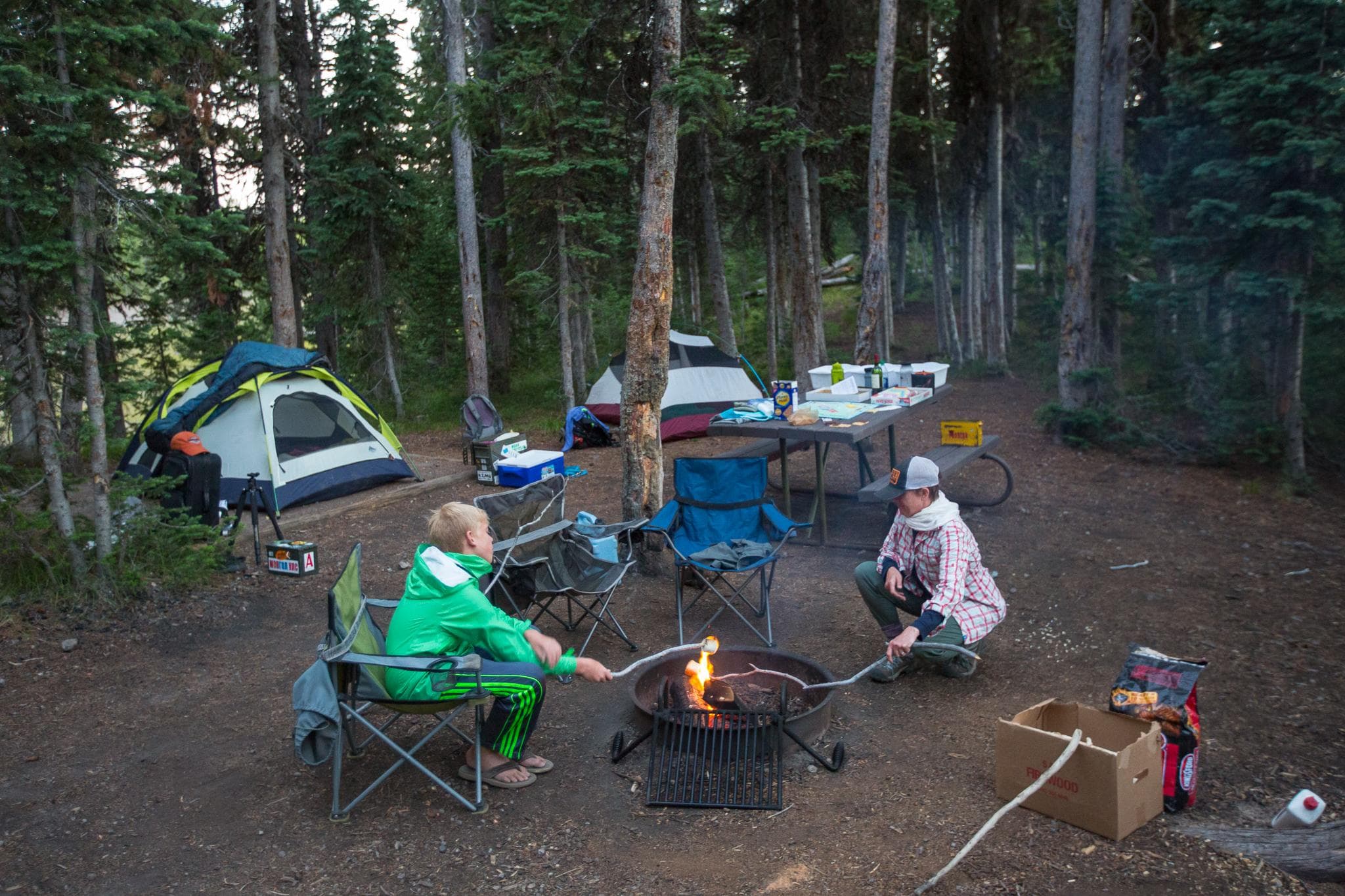 Wooded campsite at Lewis Lake
