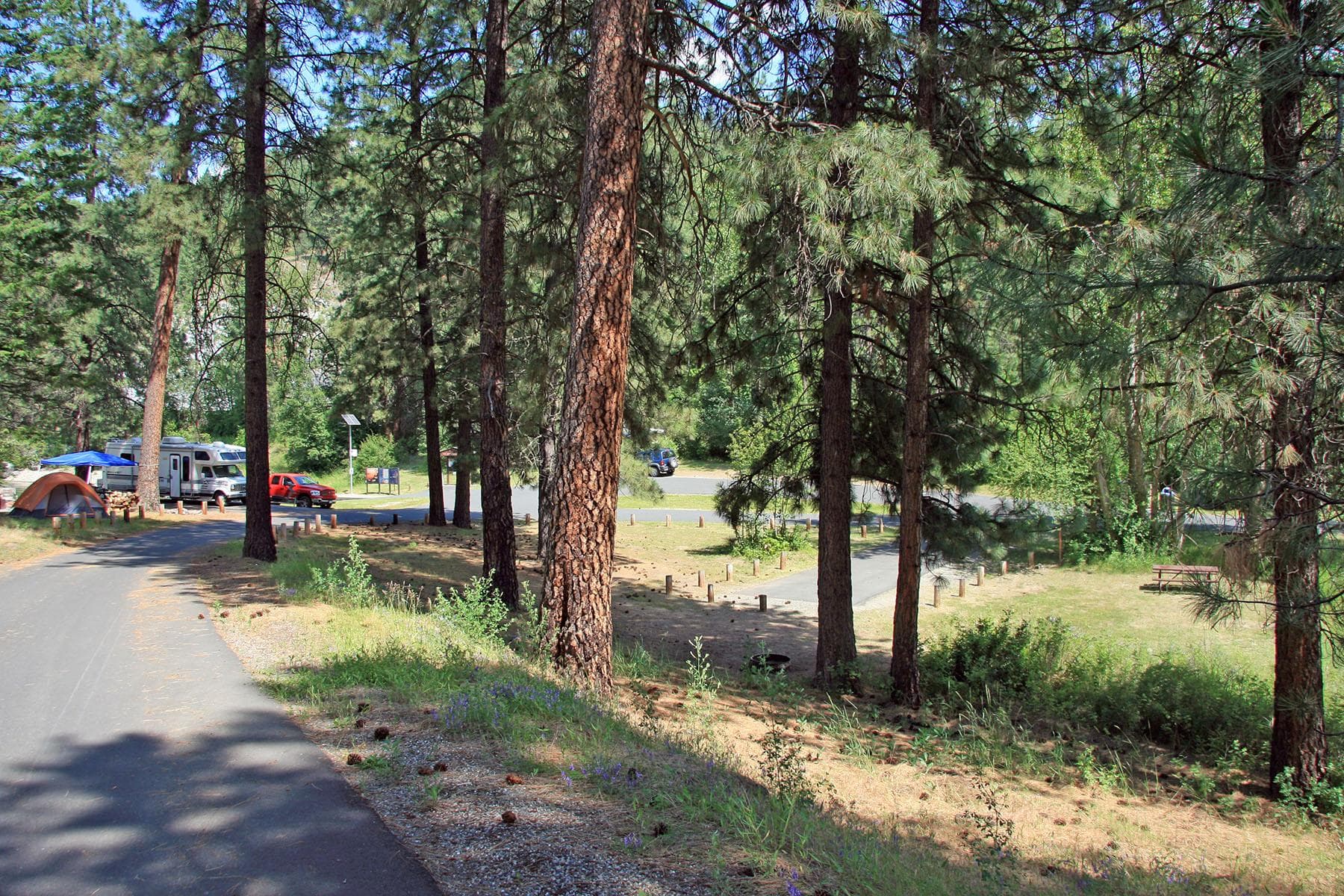 The first half of North Gorge's sites are located around the boat launch and can fit vehicles and RVs.