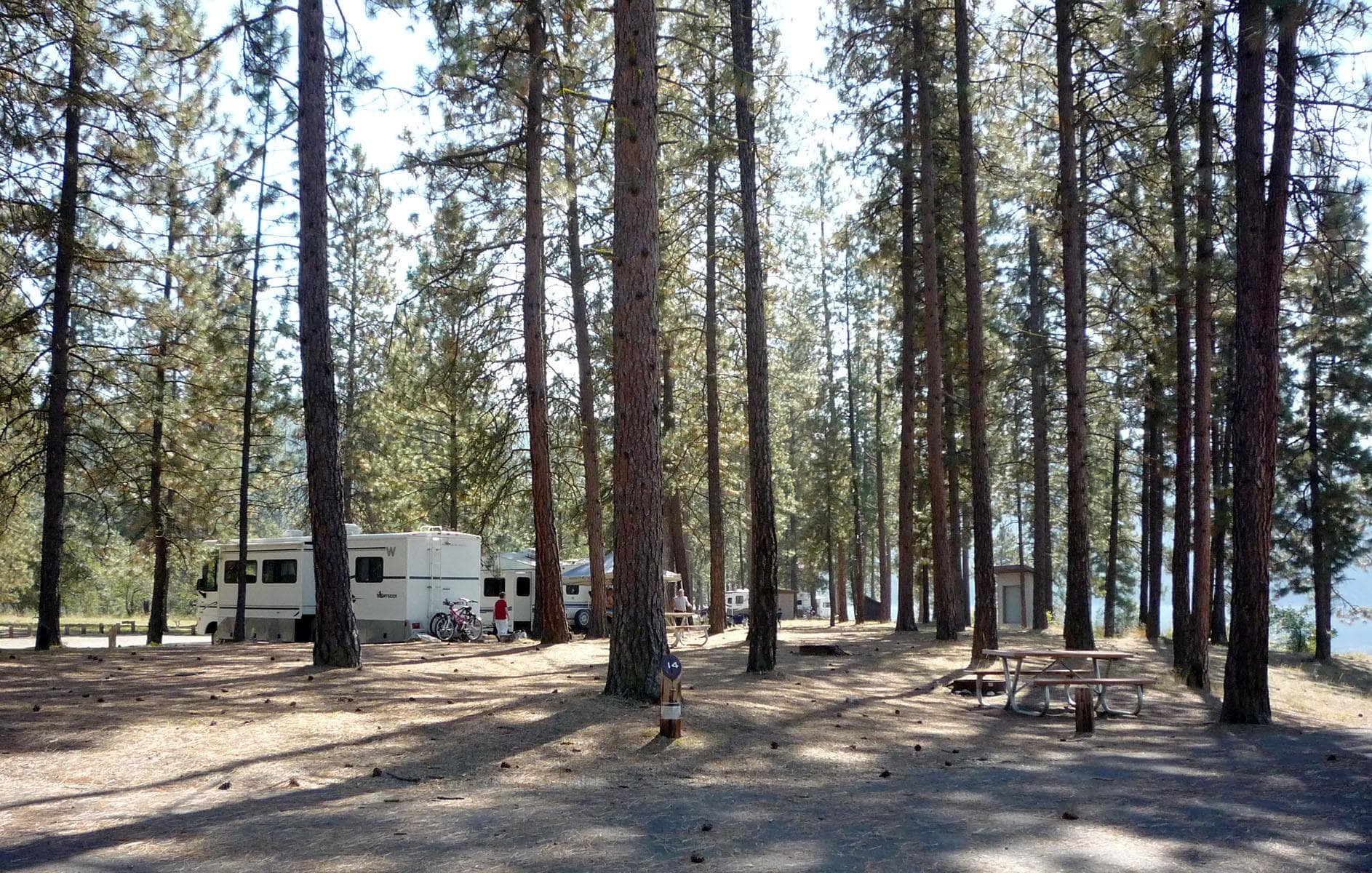 Evans is nicely shaded by Ponderosa pine trees.