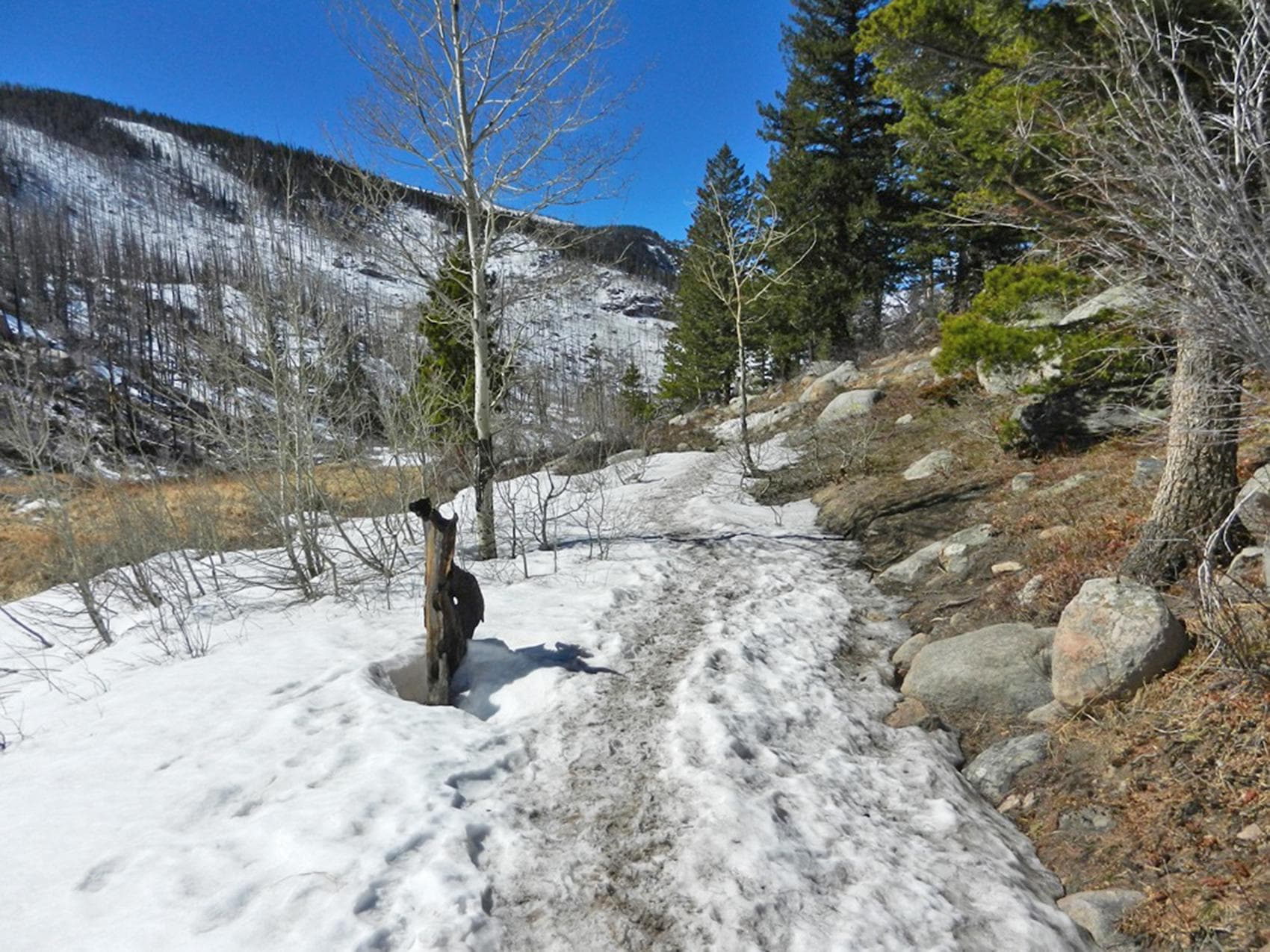 Enjoy a hike and be prepared for snow and ice on all high elevation trails
