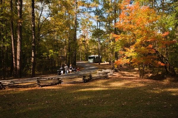 Jeff Busby Campground, Milepost 193.1