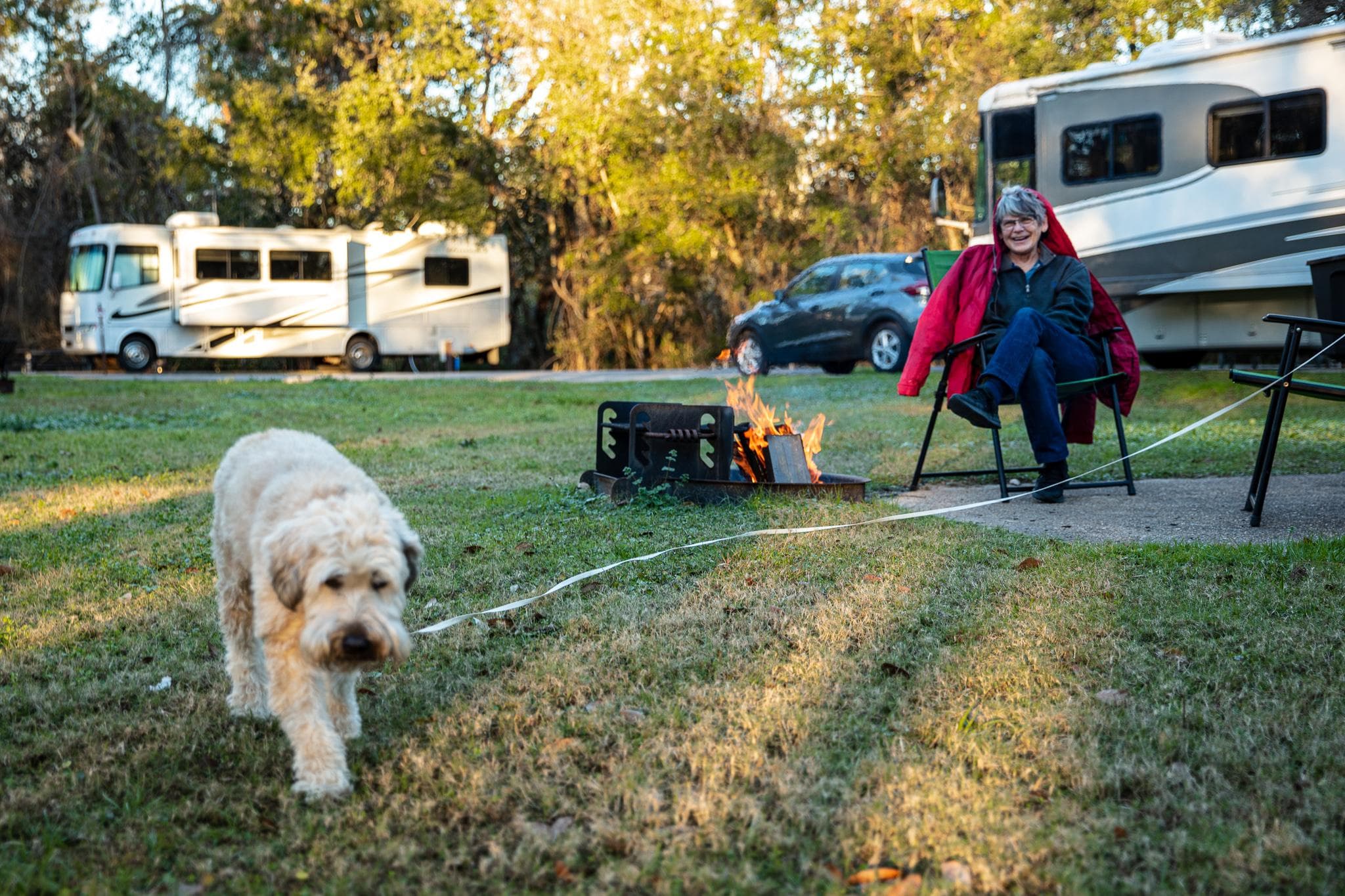 A dog and owner at Davis Bayou campground
