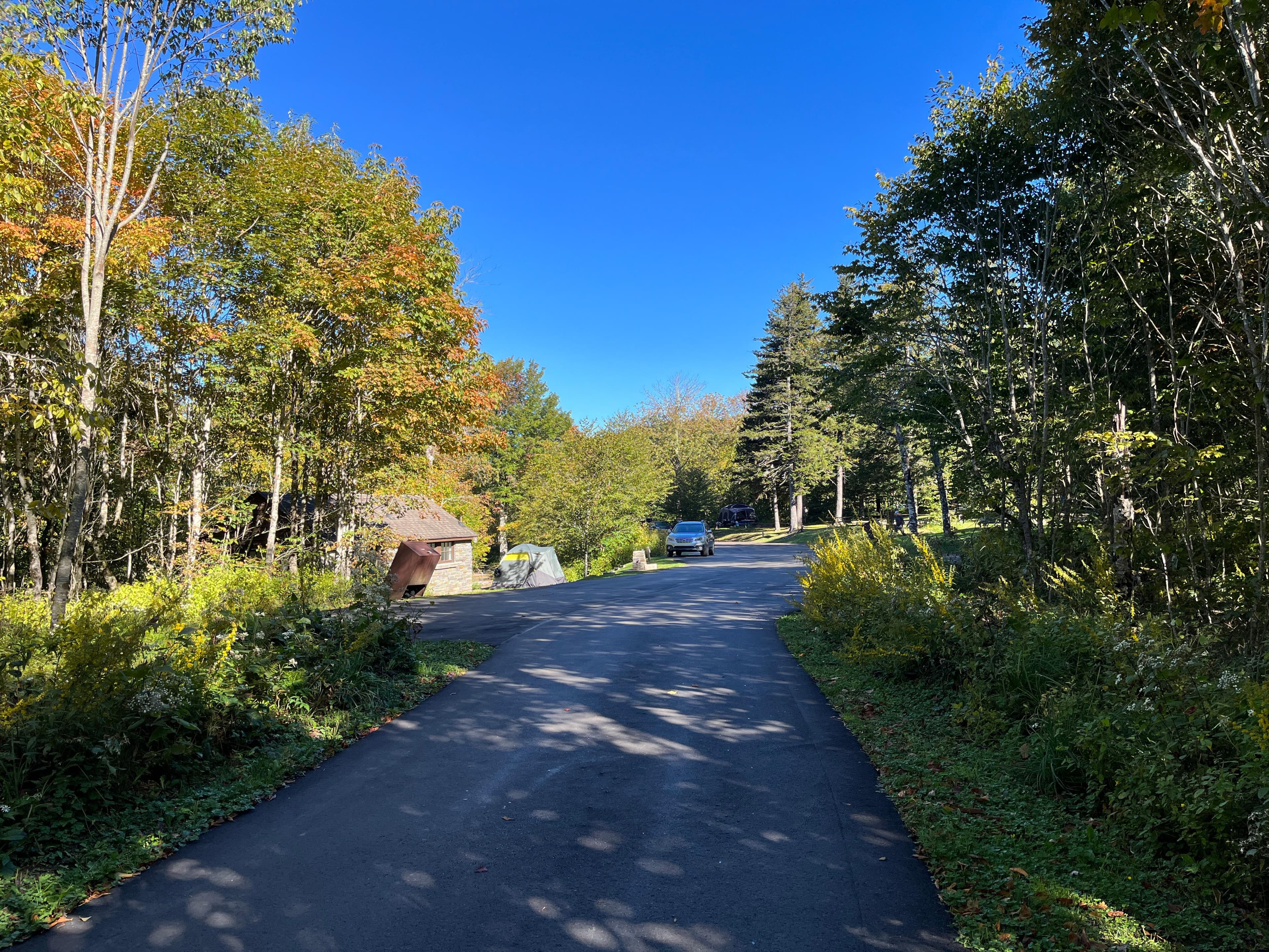 The road is fully paved at Balsam Mountain Campground.