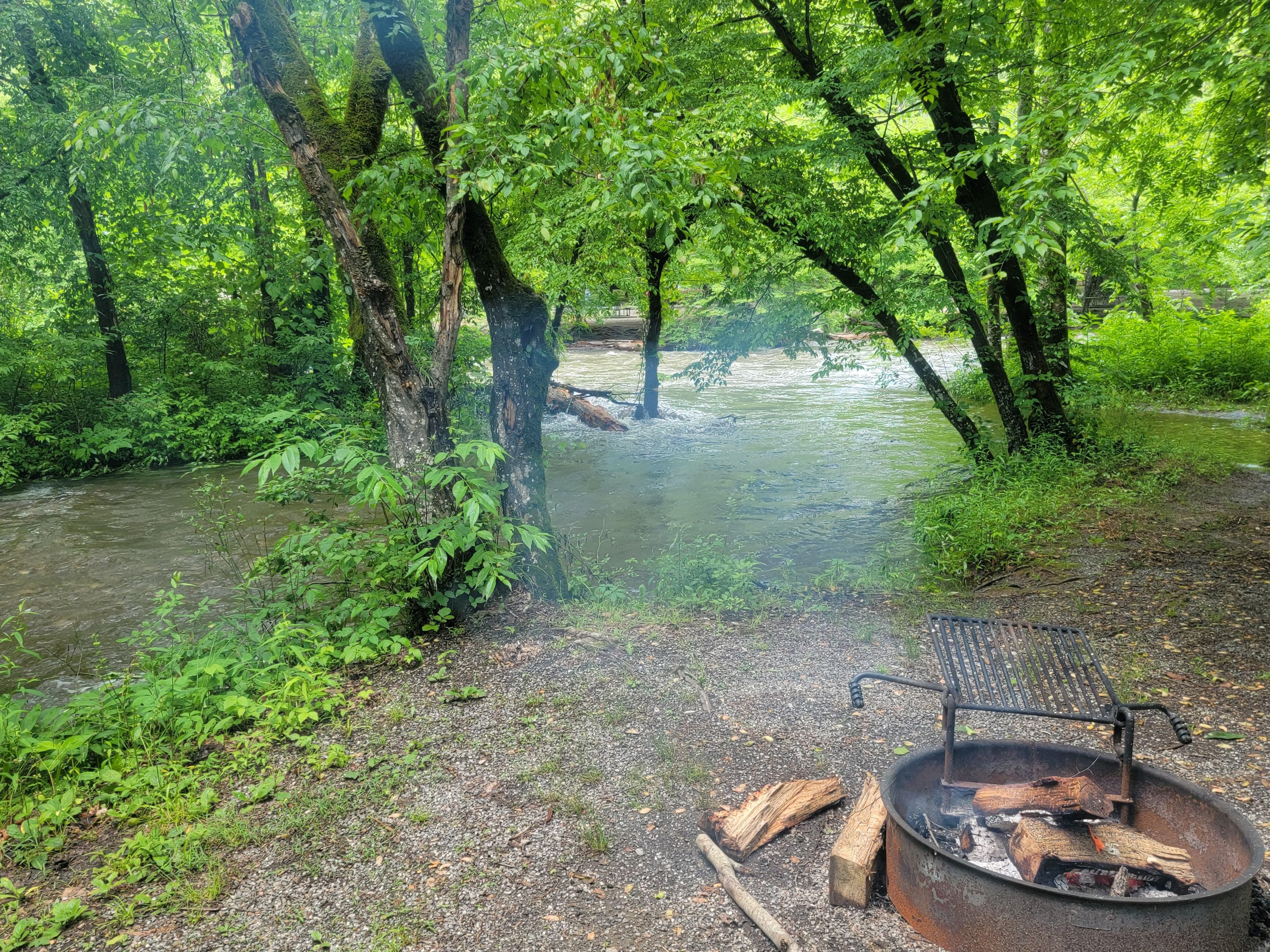 Deep Creek Campground offers a variety of sites, some streamside.