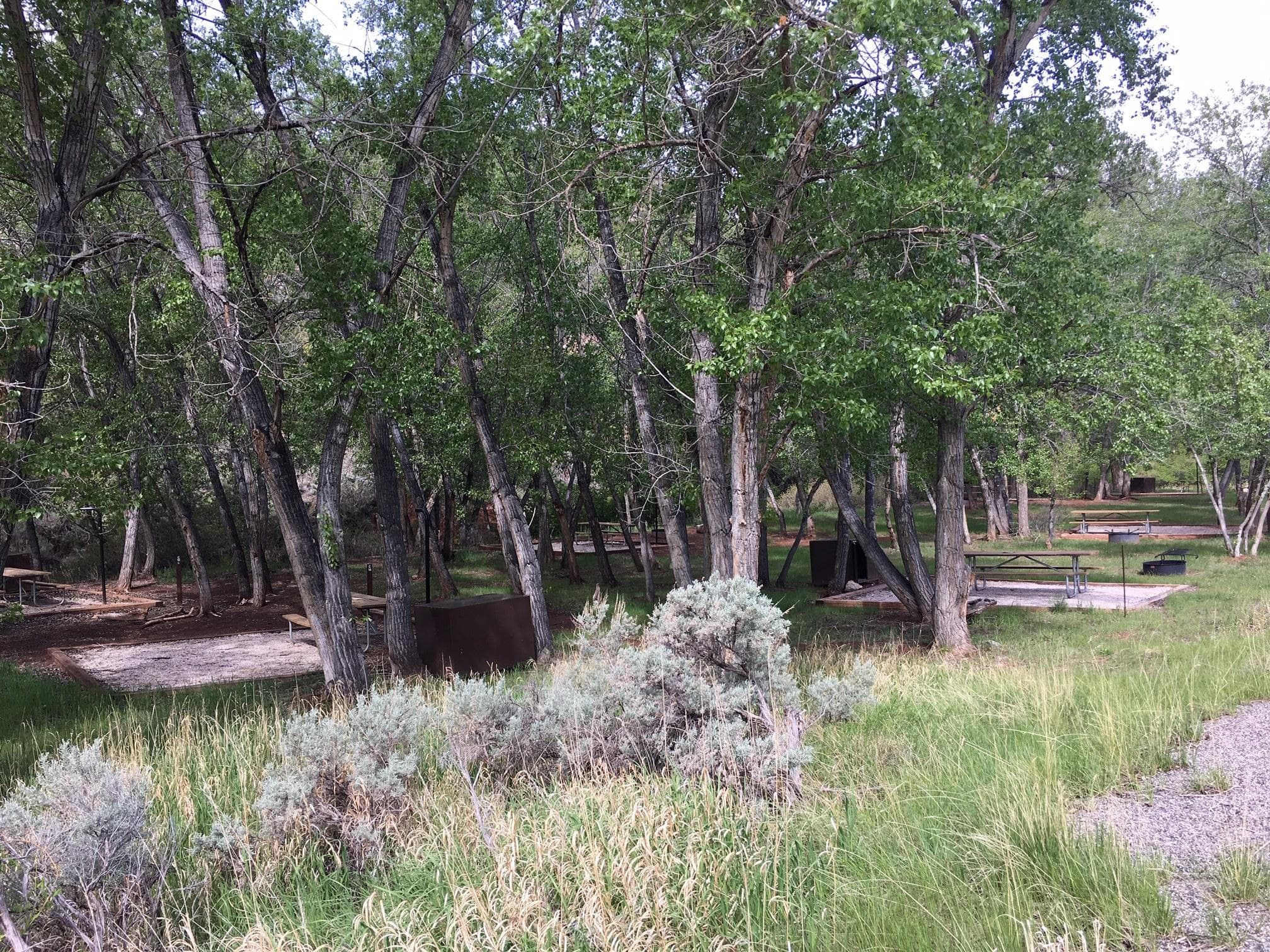 Trail Creek Tent Campground