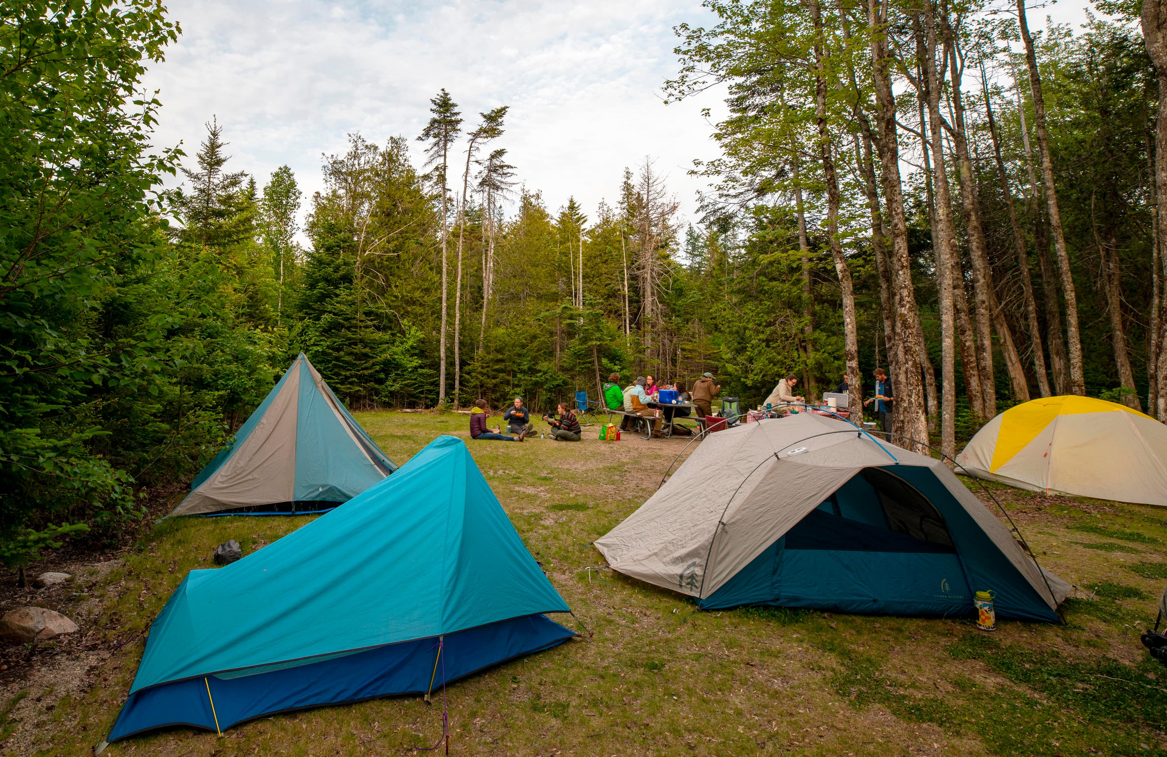 Pitch some tents with your large group at Schoodic Woods group sites