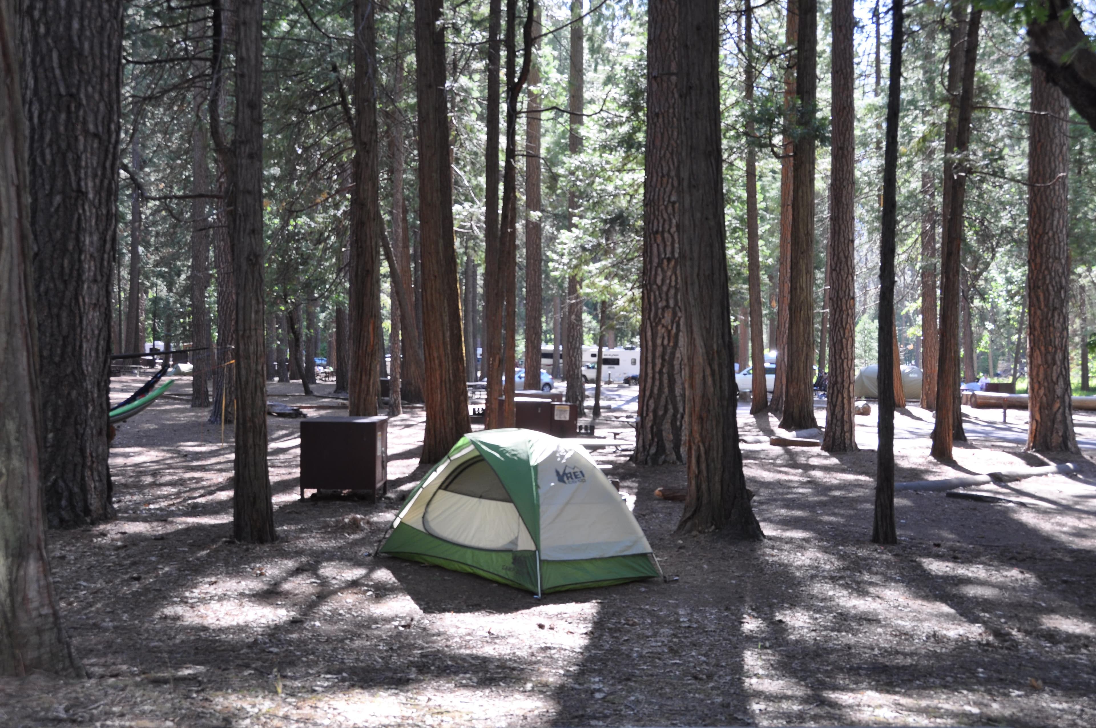 Upper Pines campsite with tent and others in background.