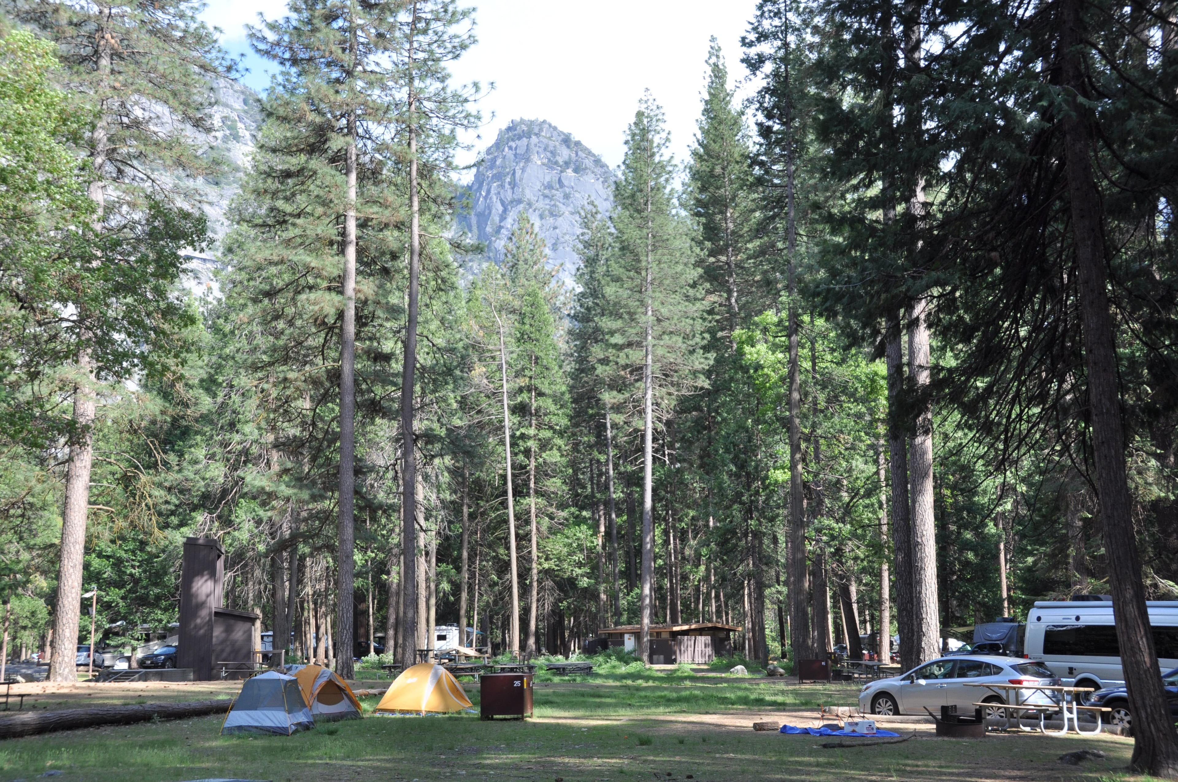 A variety of campsites in Lower Pines Campground