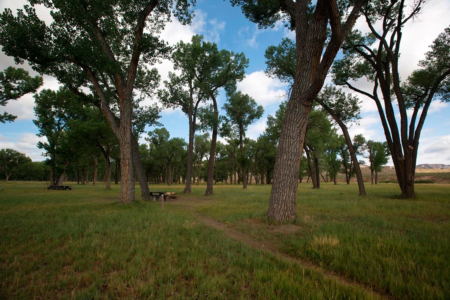 A shaded campsite at the Deerlodge Park Campground