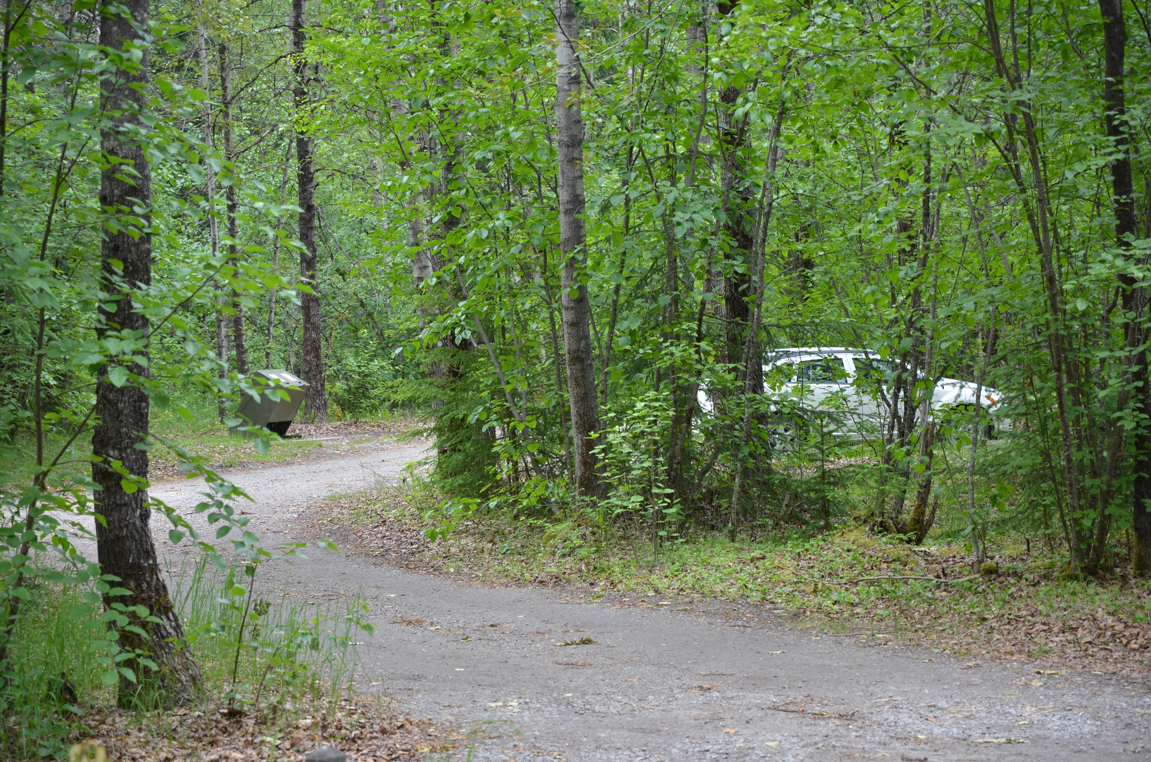 The Dyea Campground is nestled in the trees along the banks of the Taiya River.
