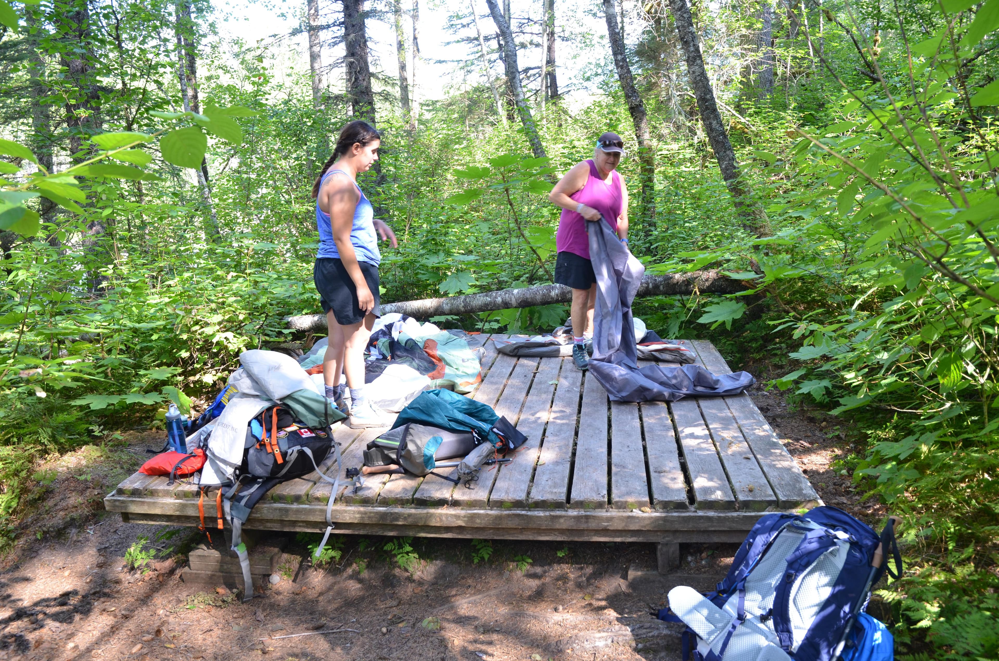 All six sites at Finnegan's Point Campground have raised, wooden platforms.
