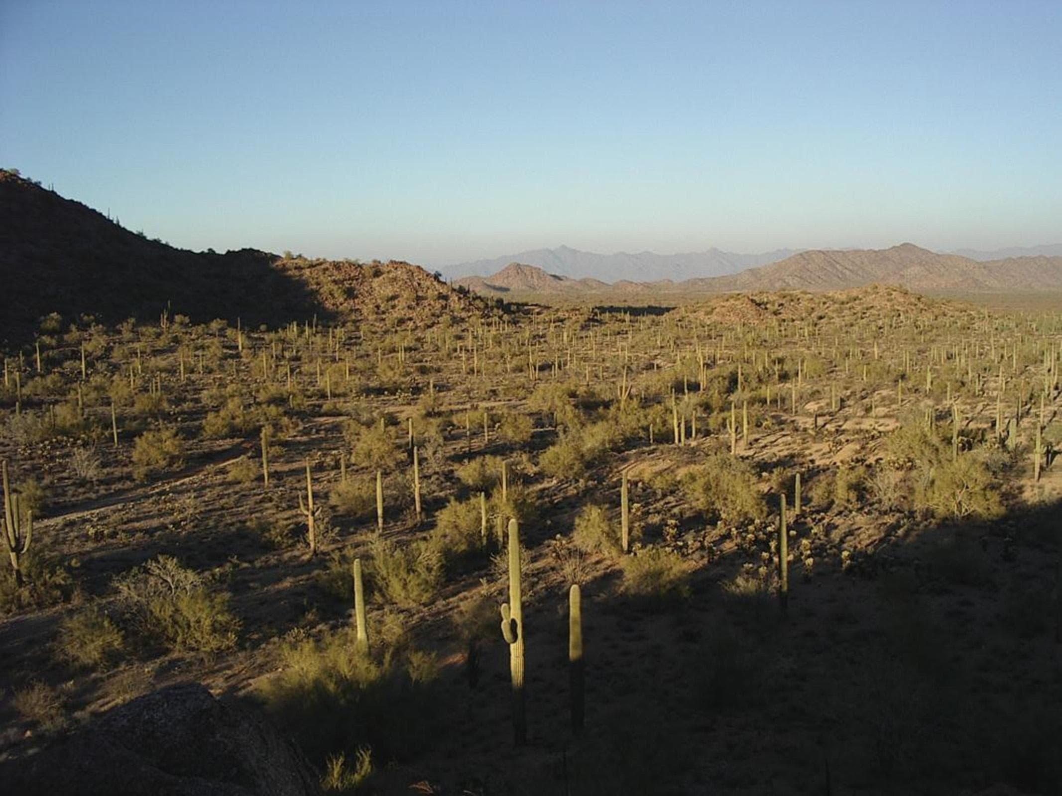 The Butterfield Overland NHT traversed thousands of miles of desert on the delivery route.