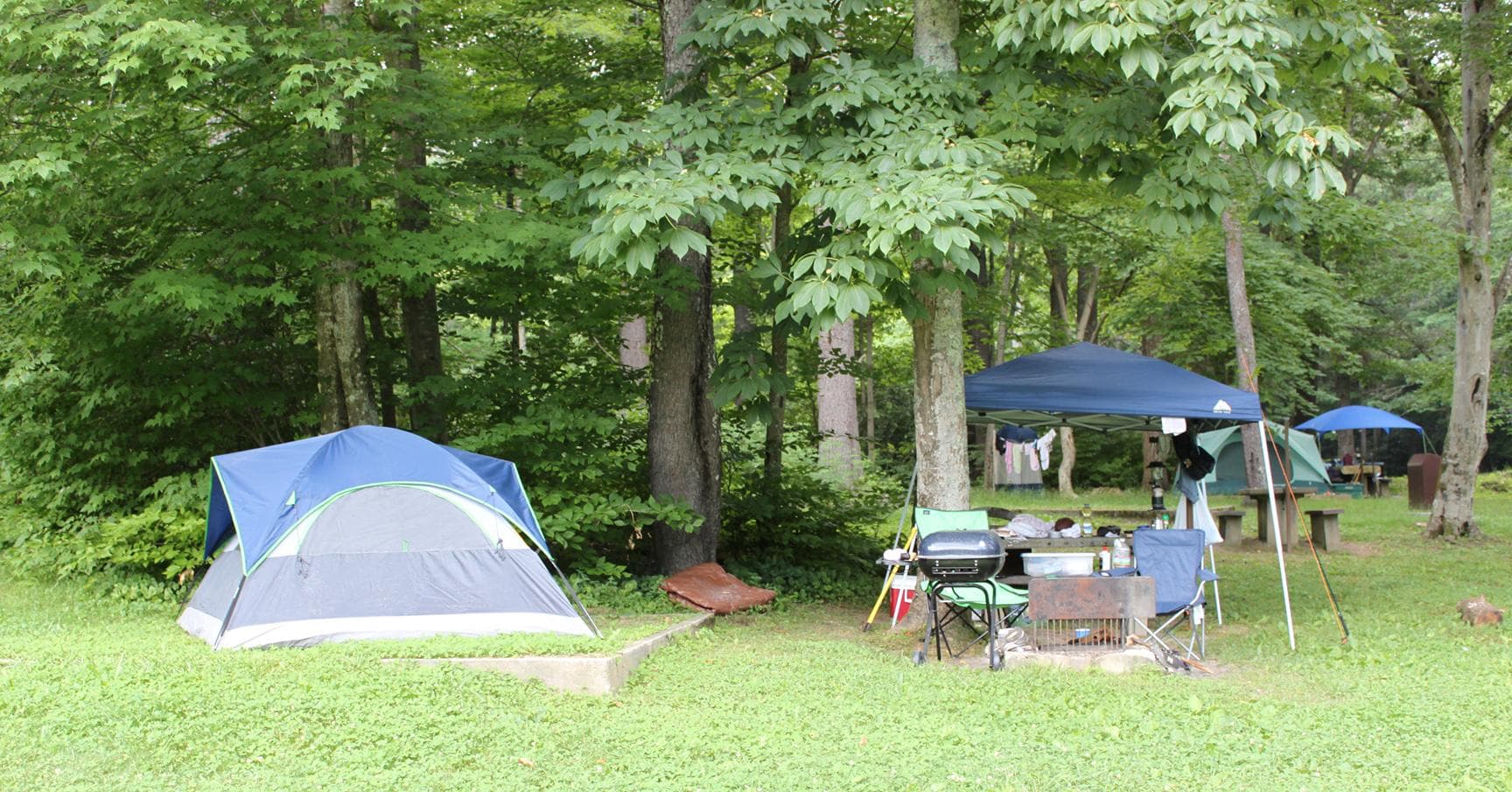 Campsite at Linville Falls Campground