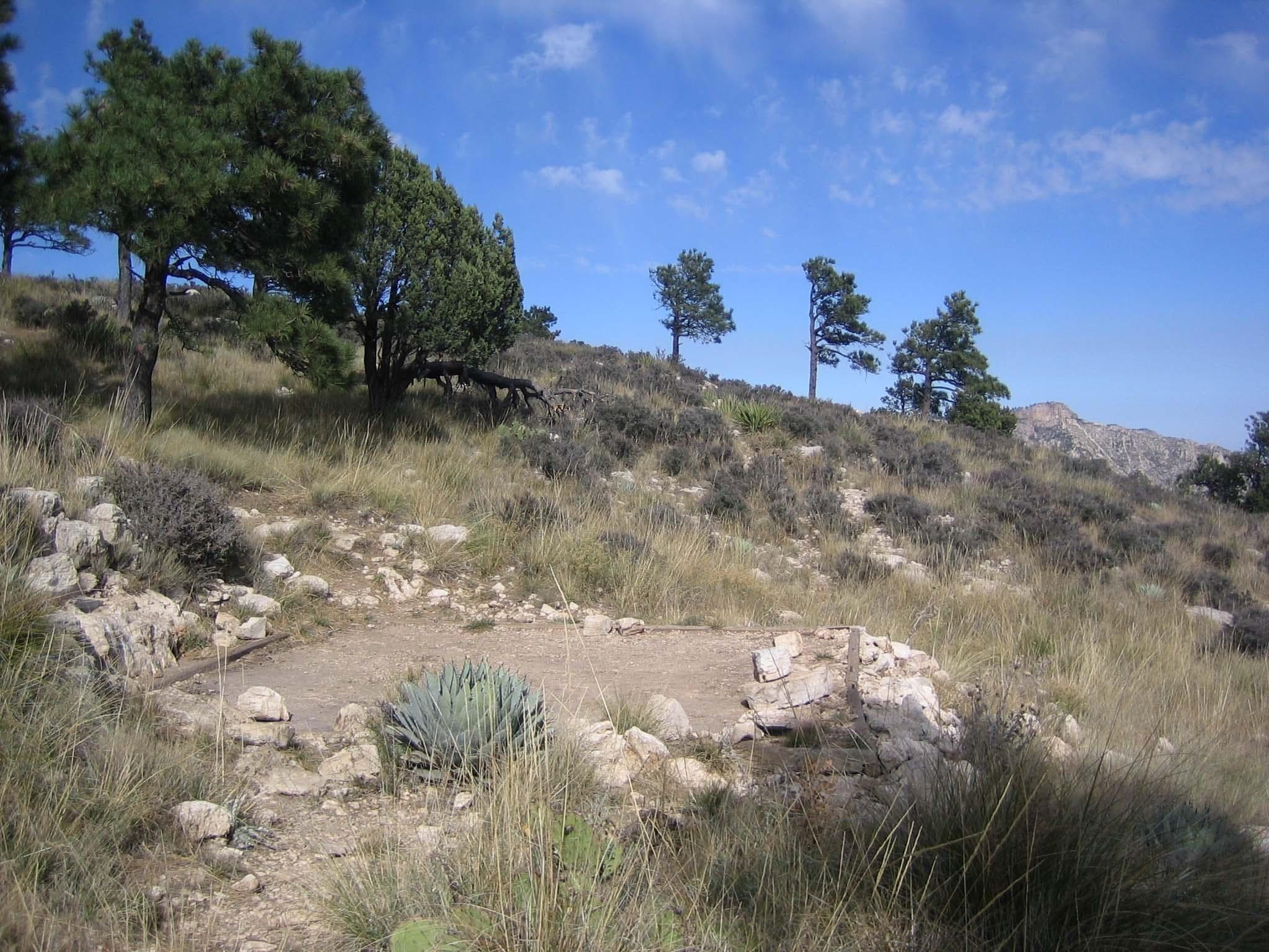 Guadalupe Peak tent pads are in the open.