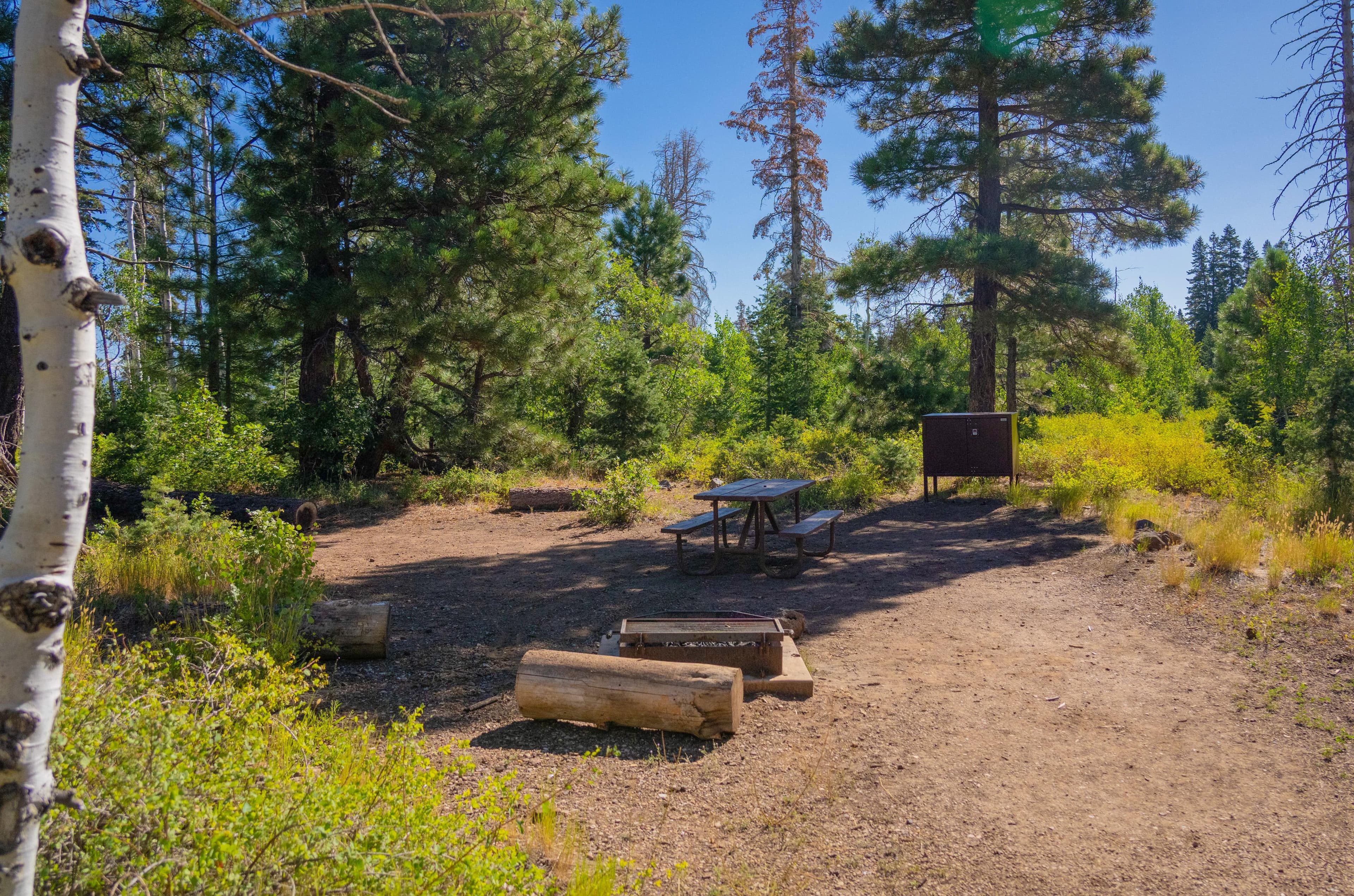 Lava Point Campground