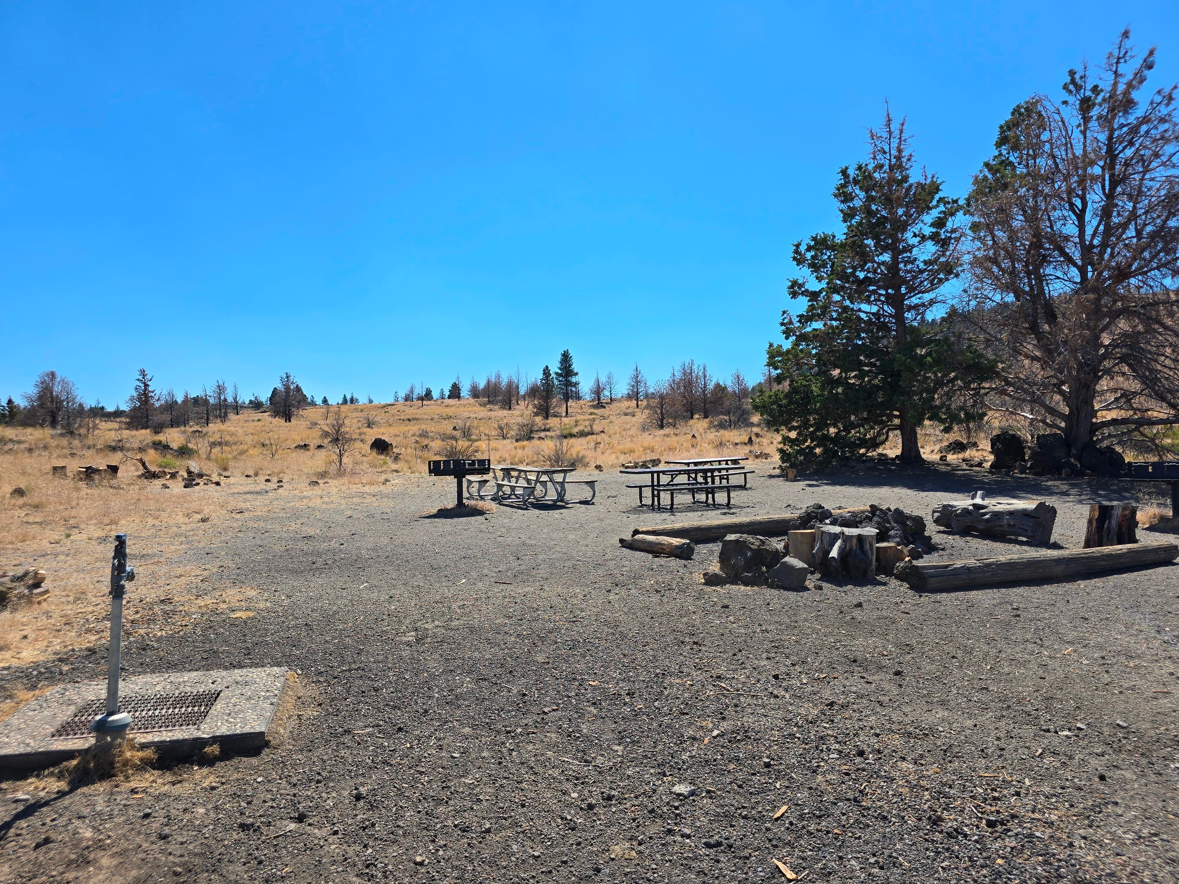 Group Site Fire Pit and Picnic Area
