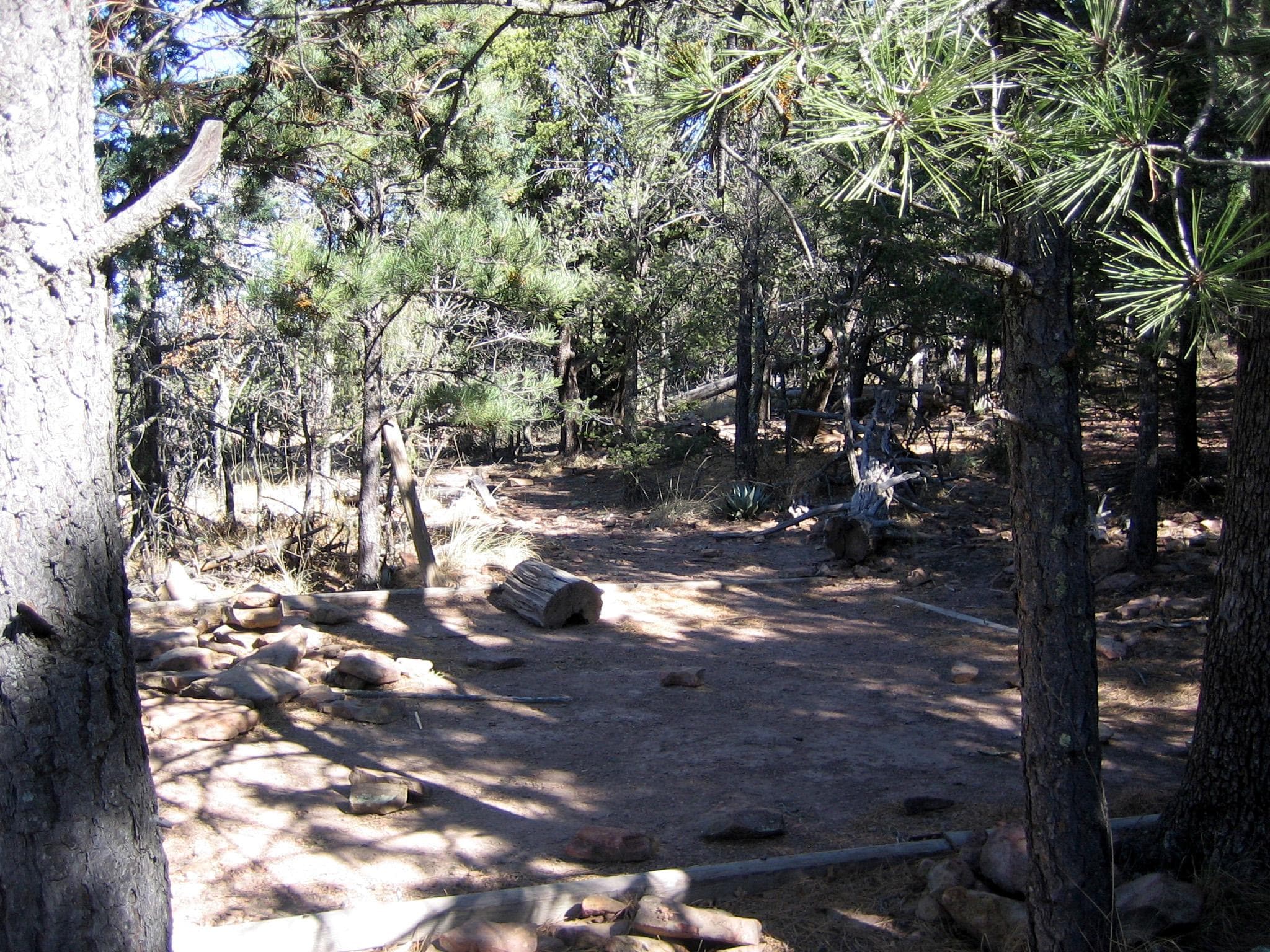 The Mckitterick Ridge camping area is a short distance from the ridge.