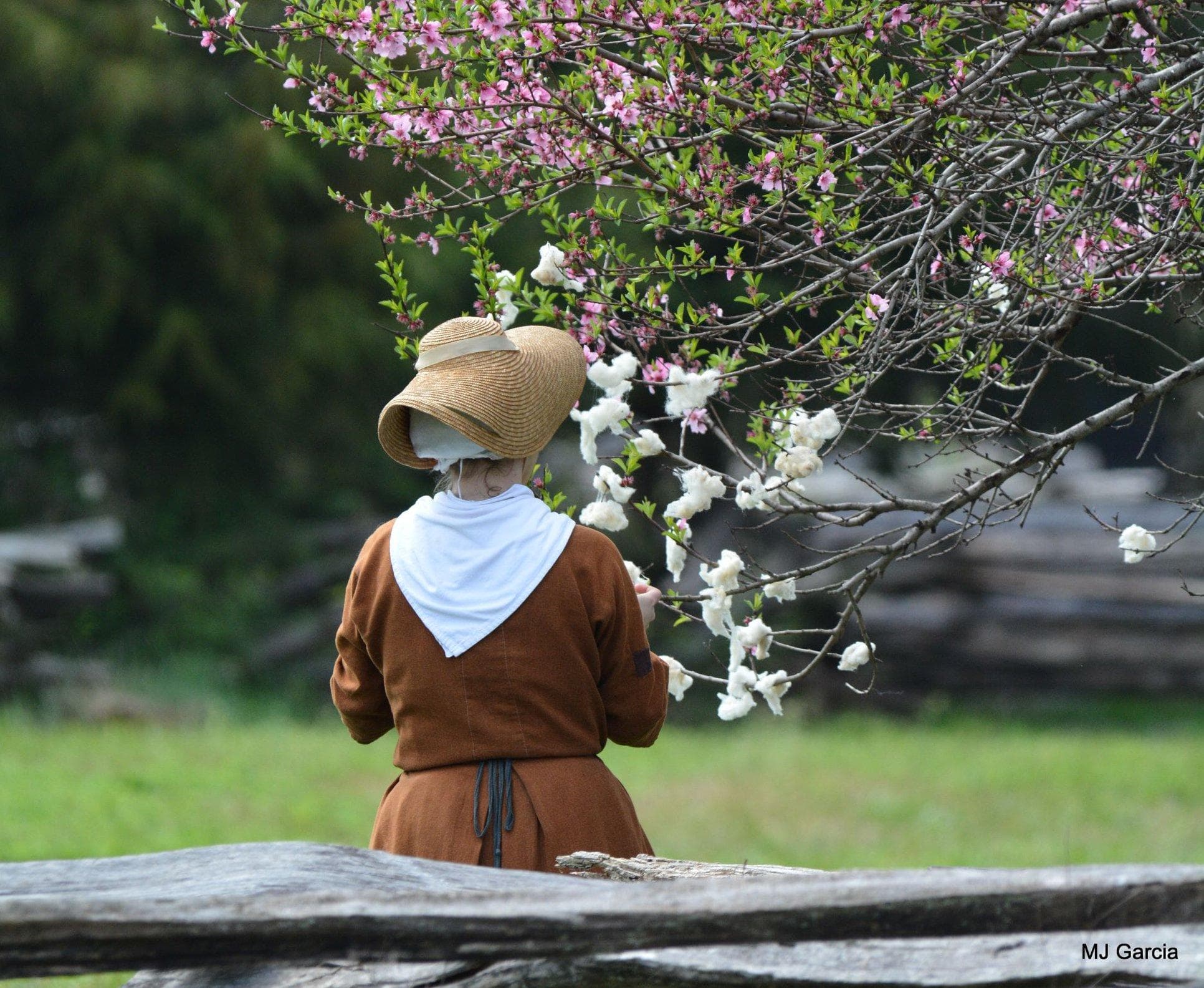 National Colonial Farm, run by the Accokeek Foundation, tells the story of a small family farm in the 1700s.