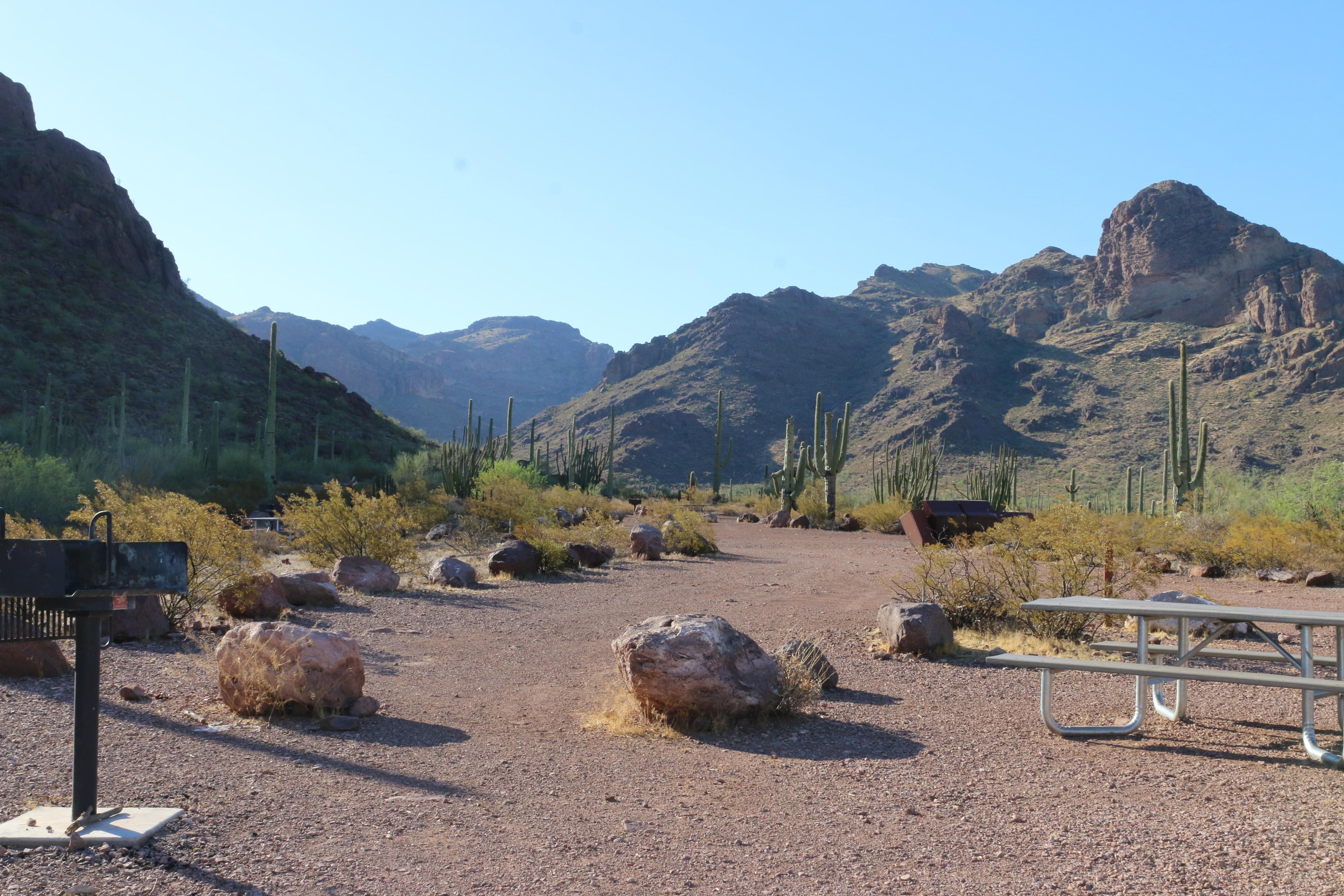 Many visitors seeking seclusion and solitude enjoy the Alamo Canyon campground.