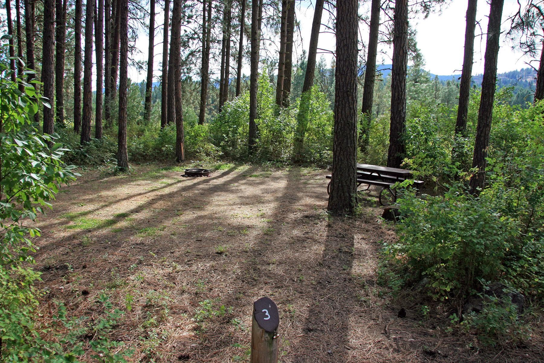 Sites in Kettle River are spacious and shady.