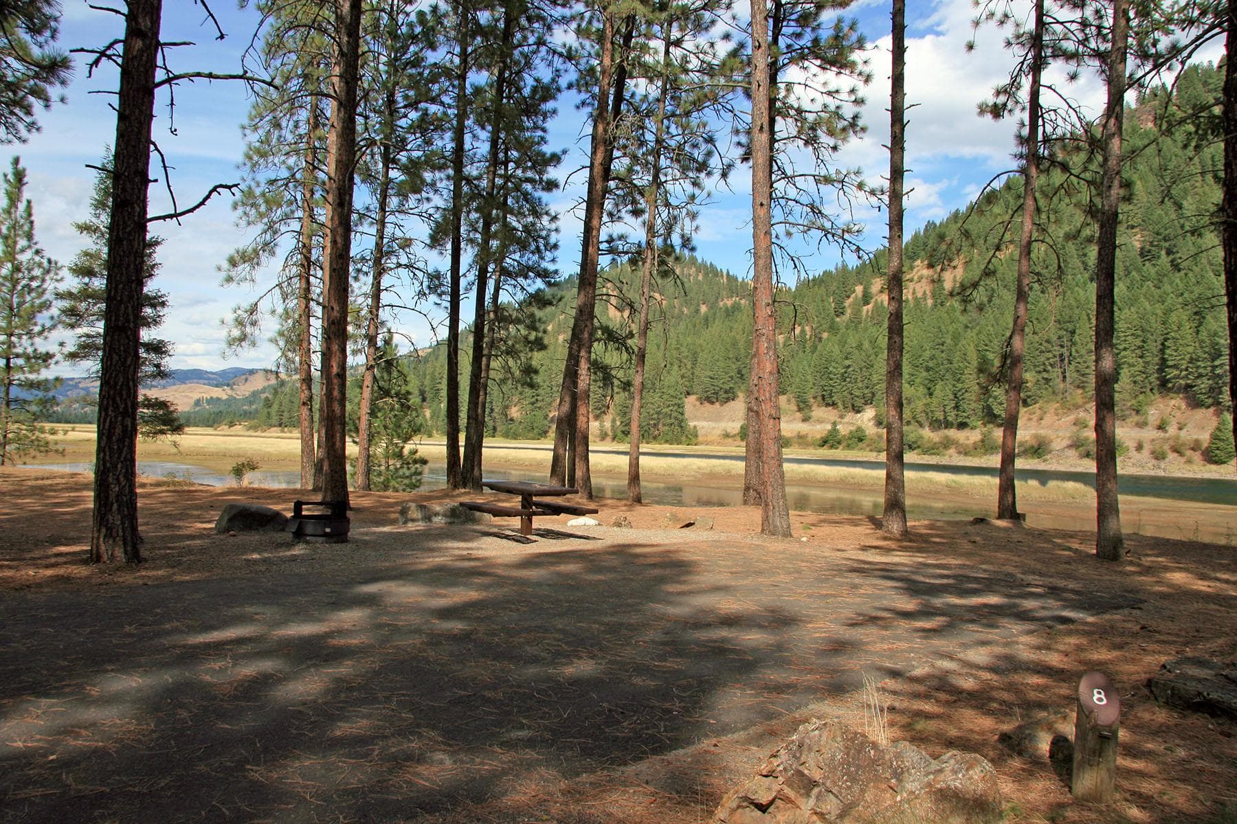Campsite 8 is a designated ADA campsite.