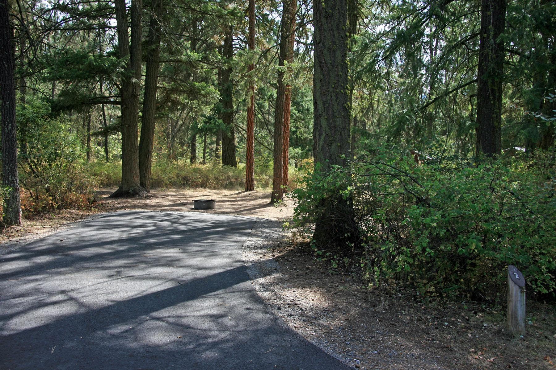 The first eight campsites can fit tents or RVS and have paved parking areas.