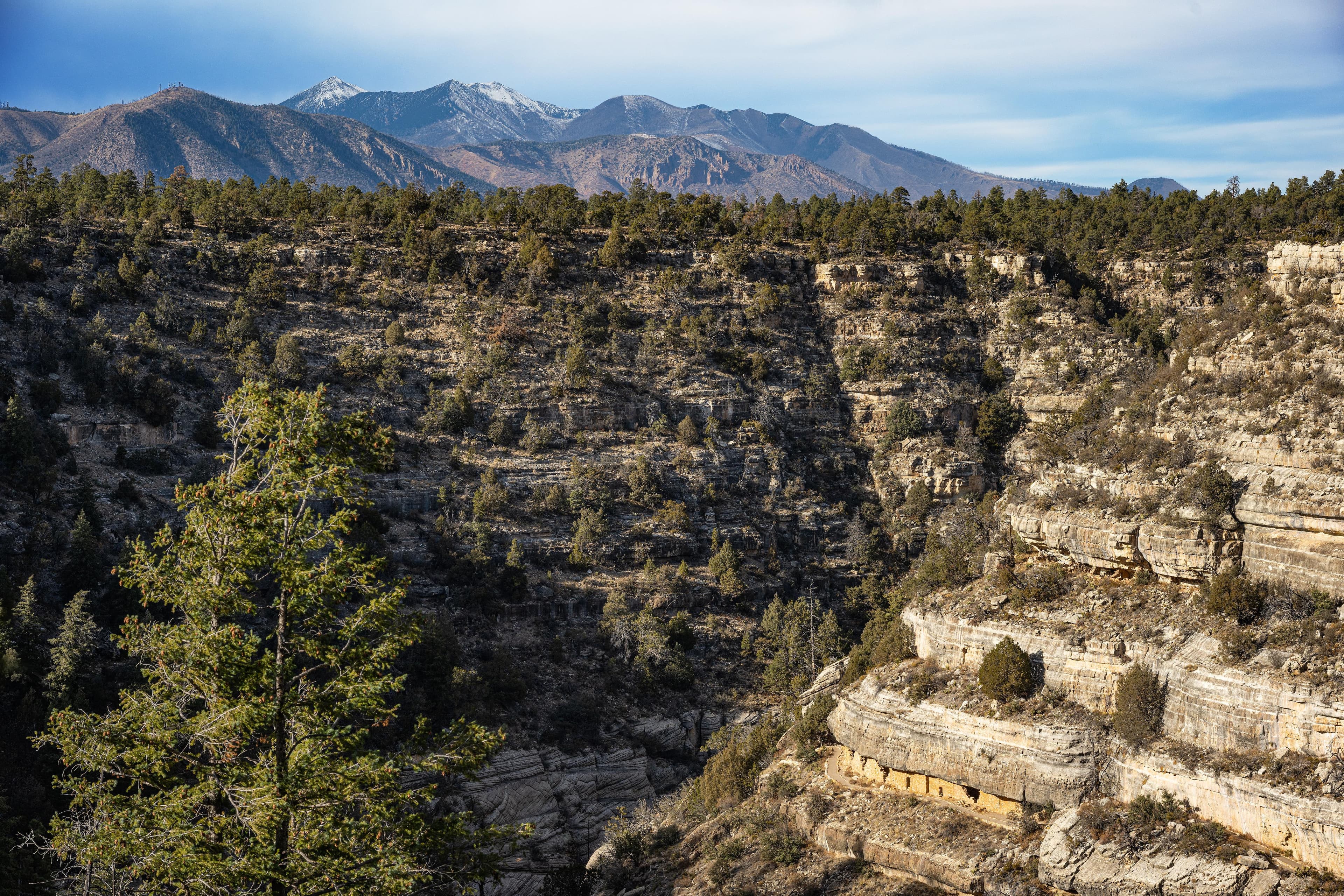 The dynamic landscape of Walnut Canyon was home to a thriving Native American community roughly 900 years ago.
