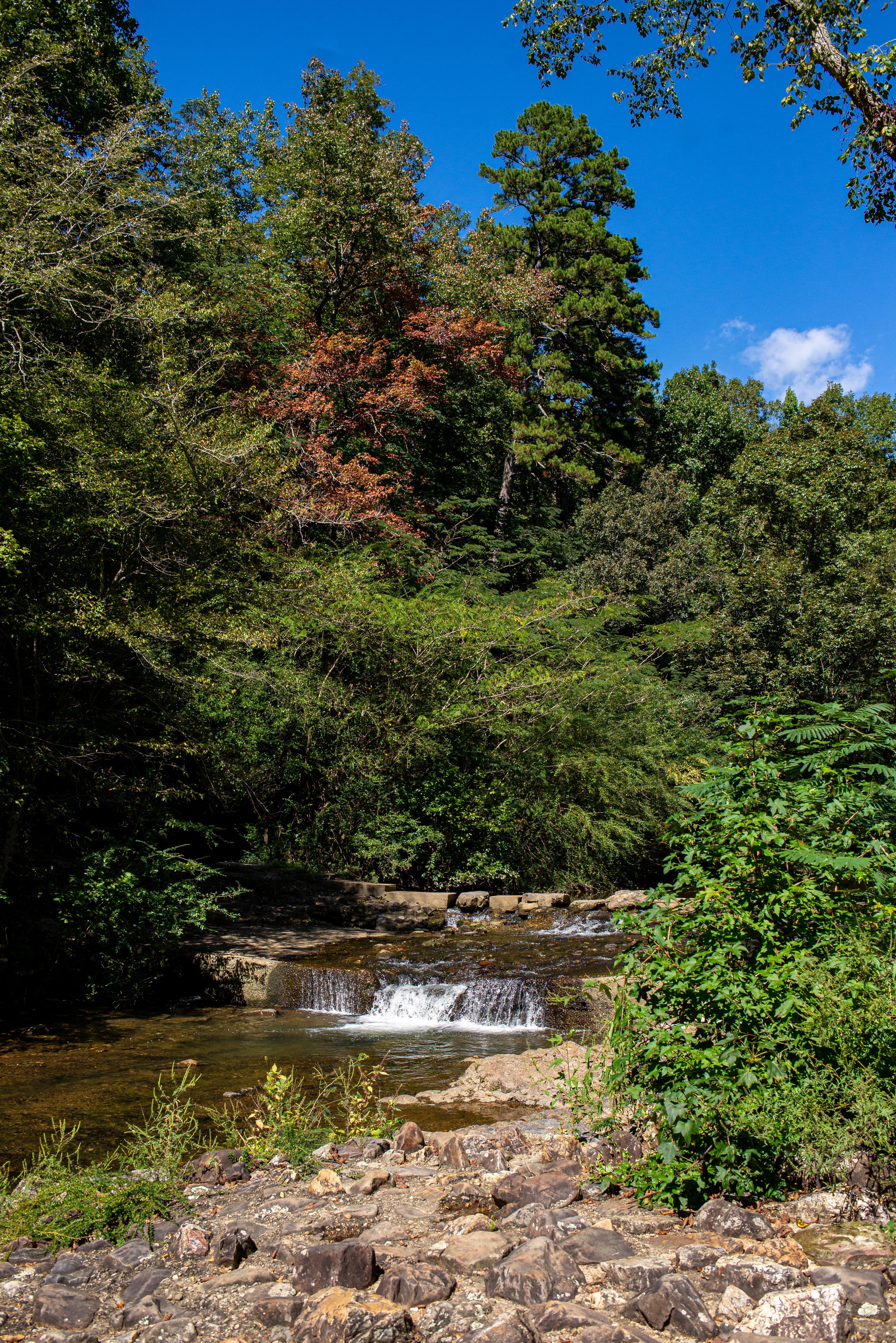 Gulpha Creek during the start of fall