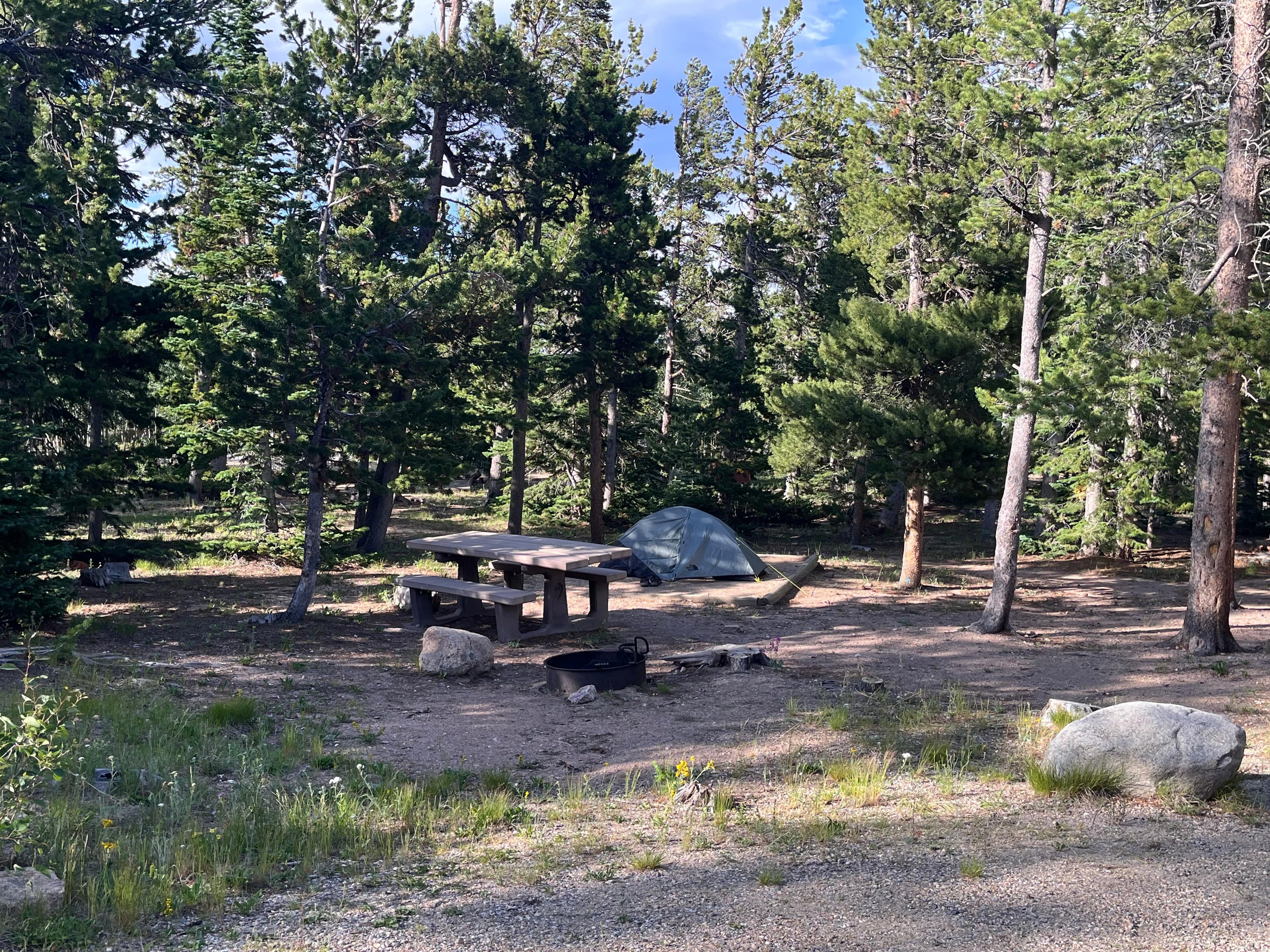 Campsite in Longs Peak Campground