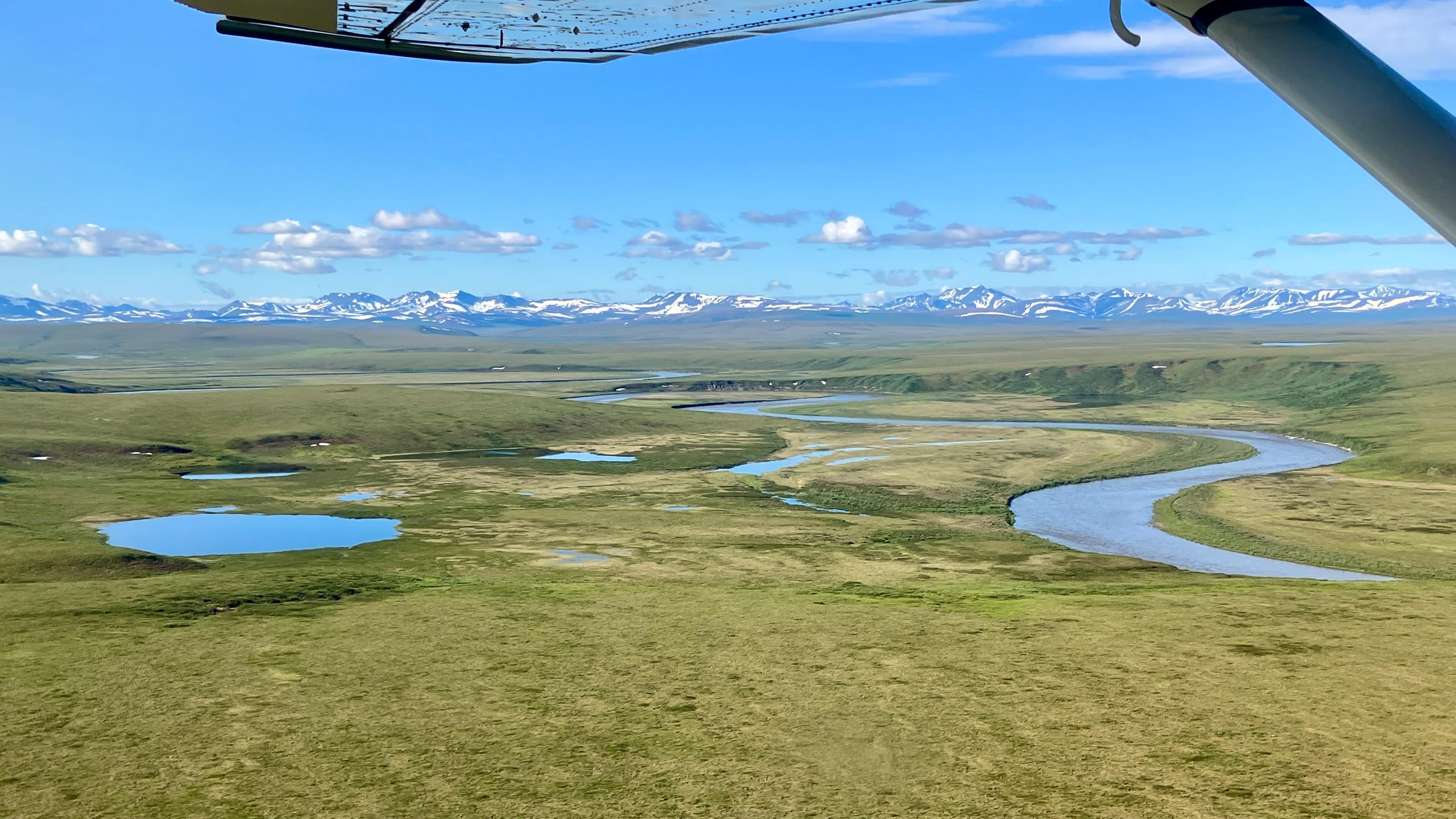 The Noatak River carves through the summertime tundra.