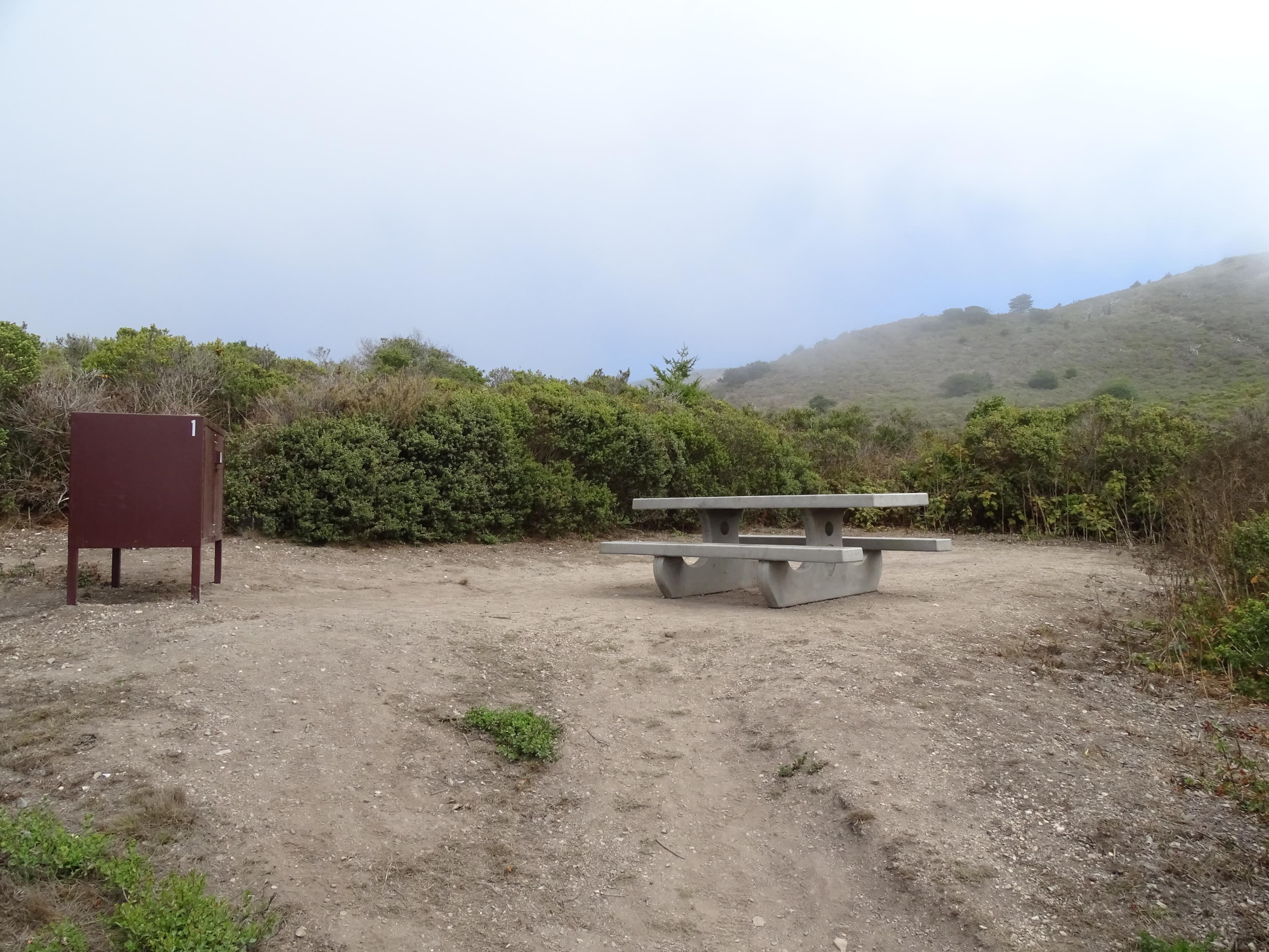 Coast Campsite 1