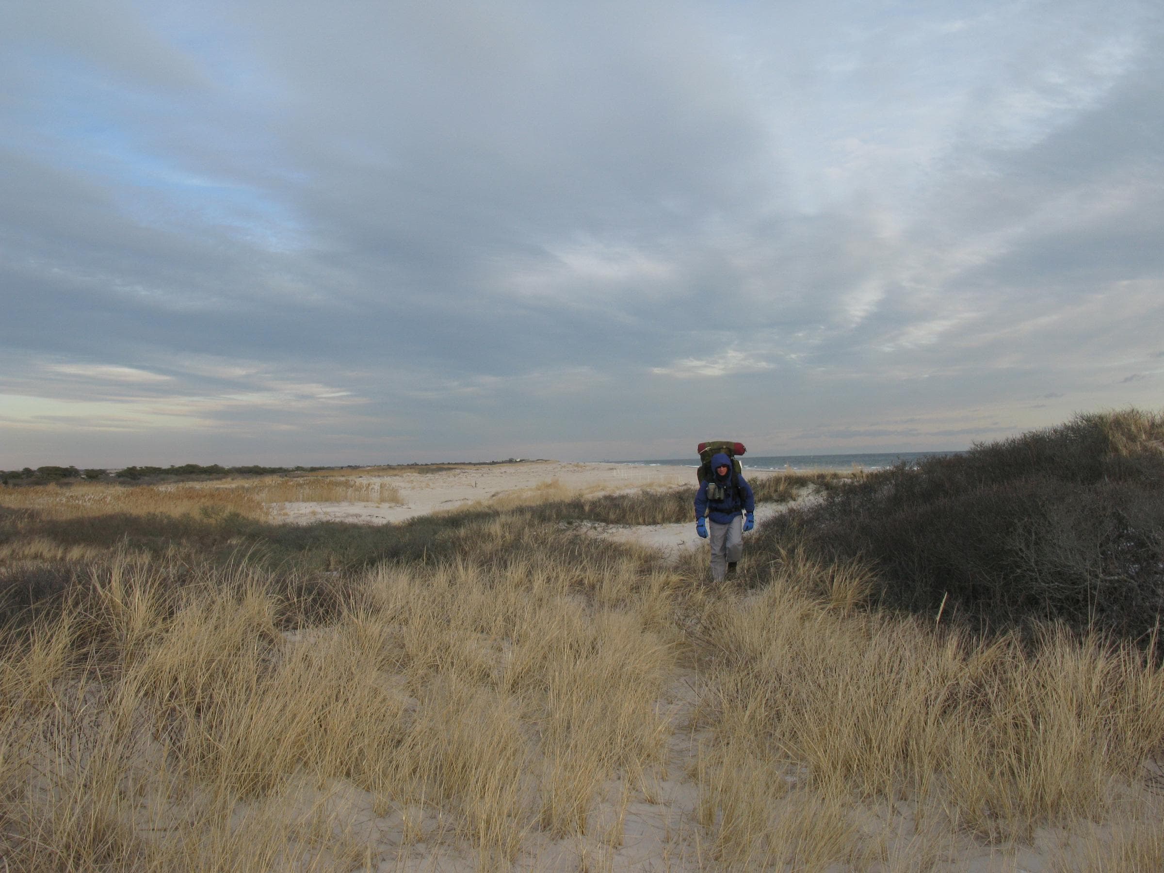 Backcountry Camping in the Otis Pike High Dune Wilderness