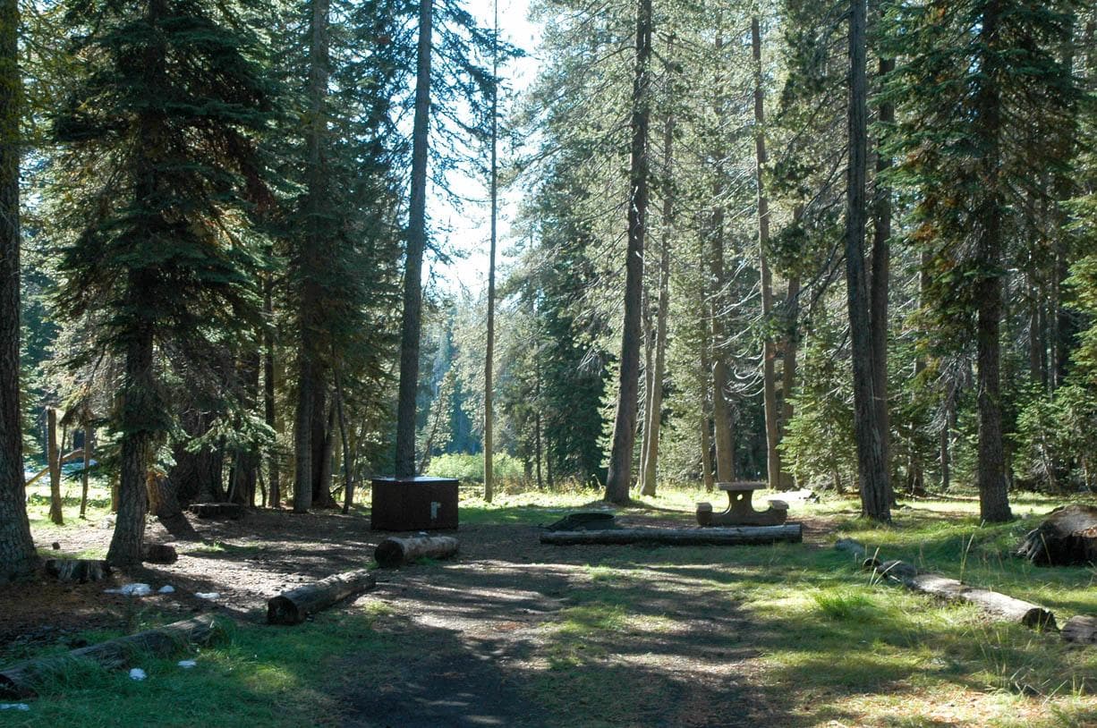 Campsites on southern side of the campground road have meadow views.