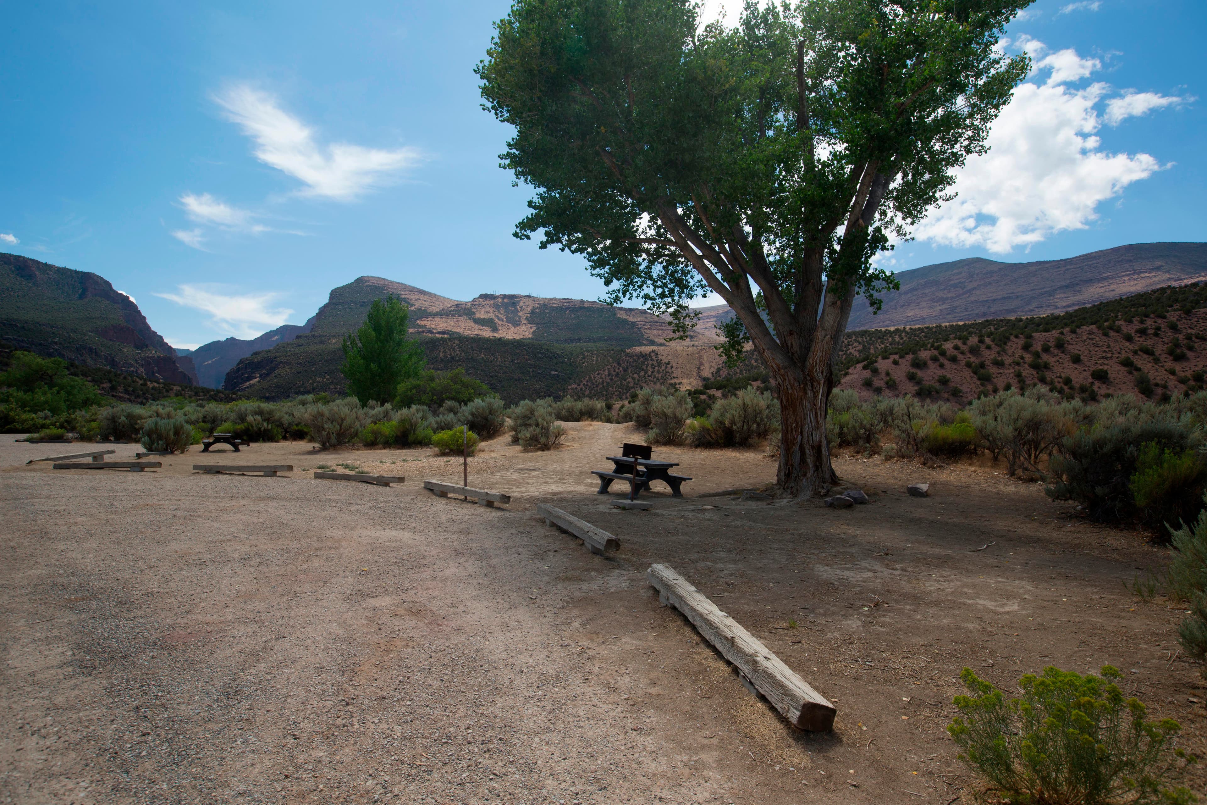 Campsite 19 in the Gates of Lodore Campground