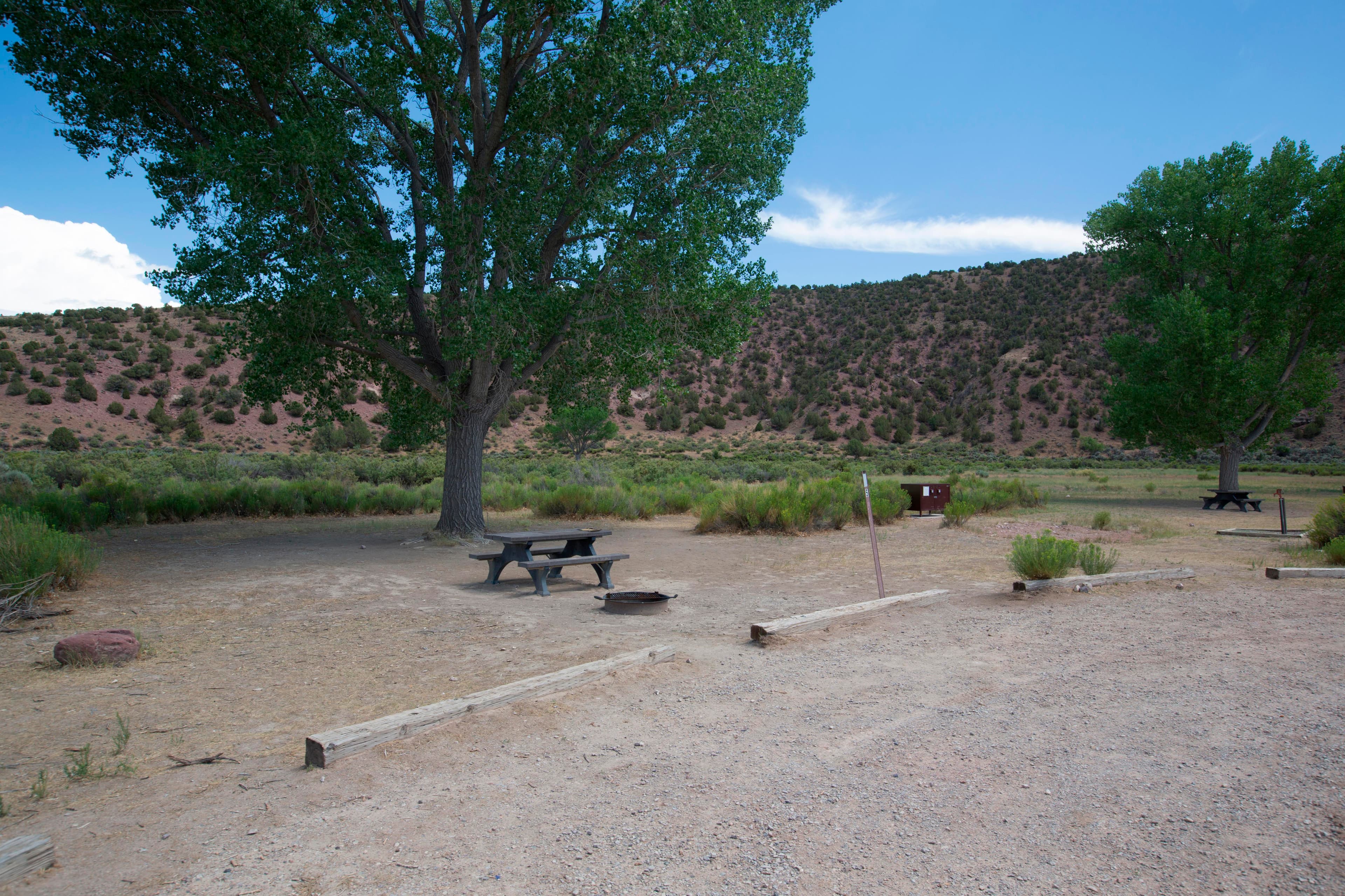 Campsite 5 in the Gates of Lodore Campground