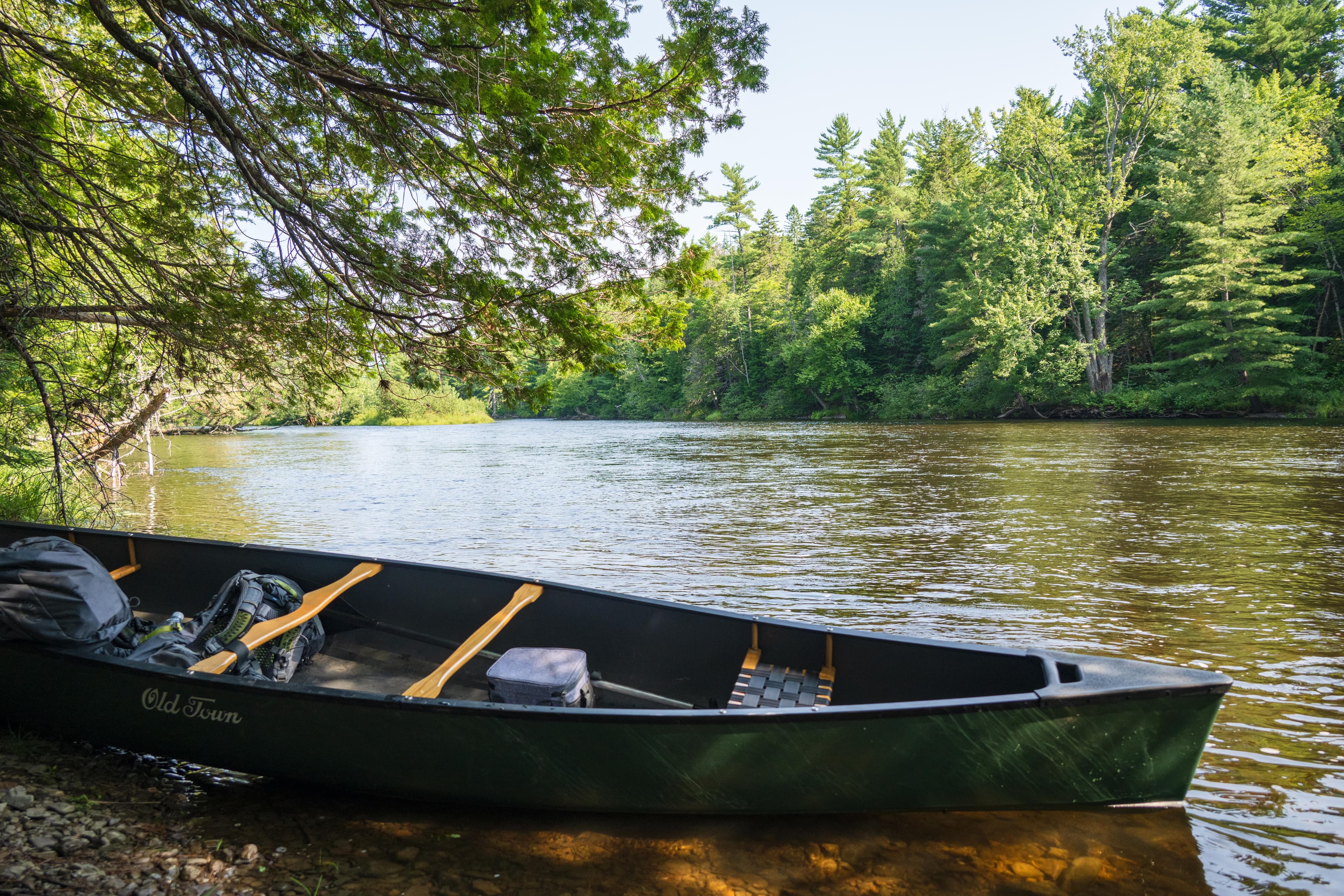 Paddle to camp at Big Spring Brook Campsite.