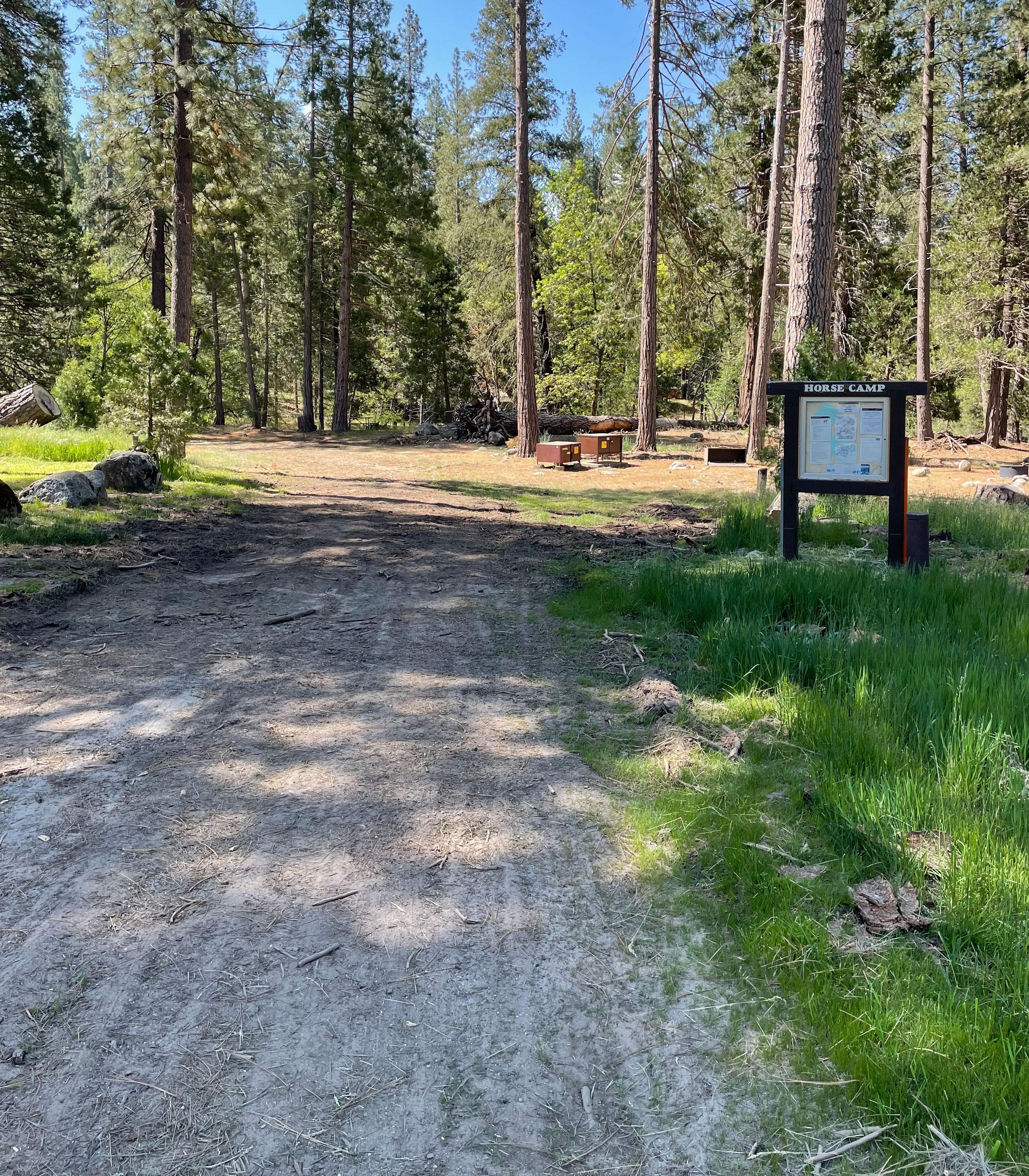 Wawona Horse Camp