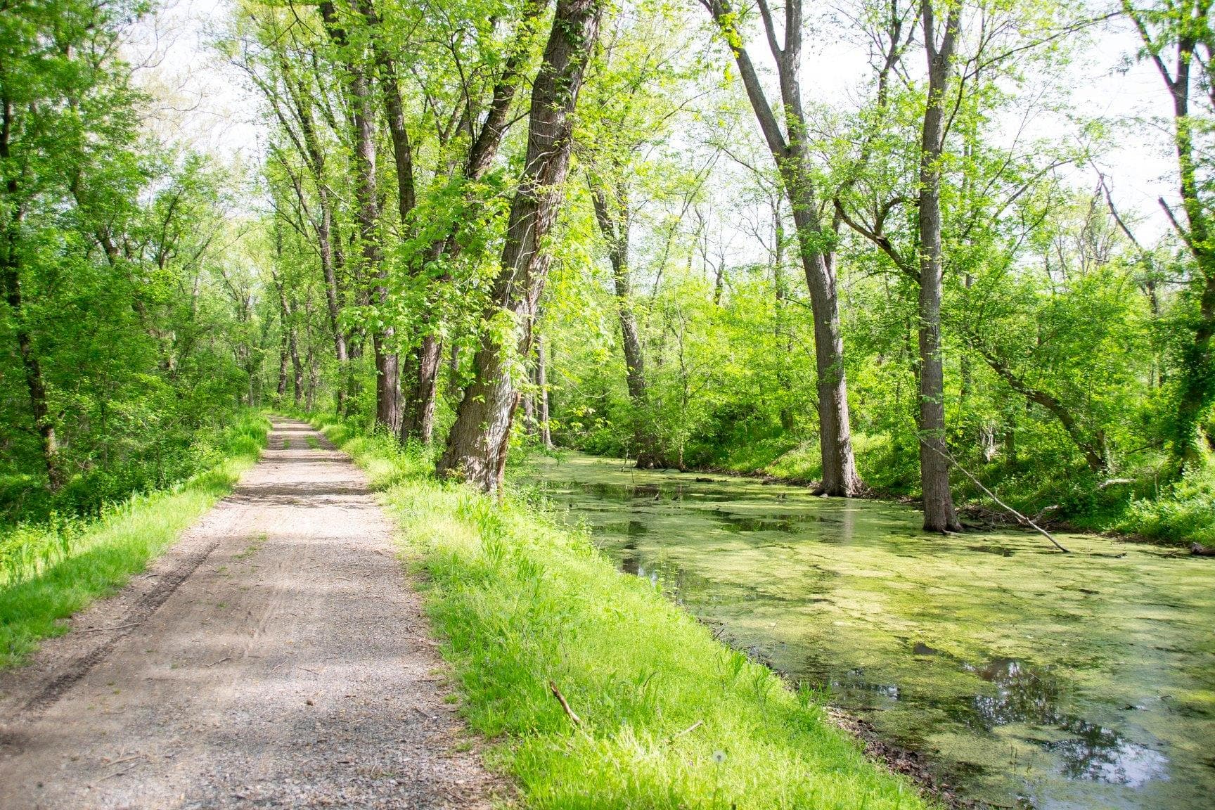 Towpath along Lush Canal