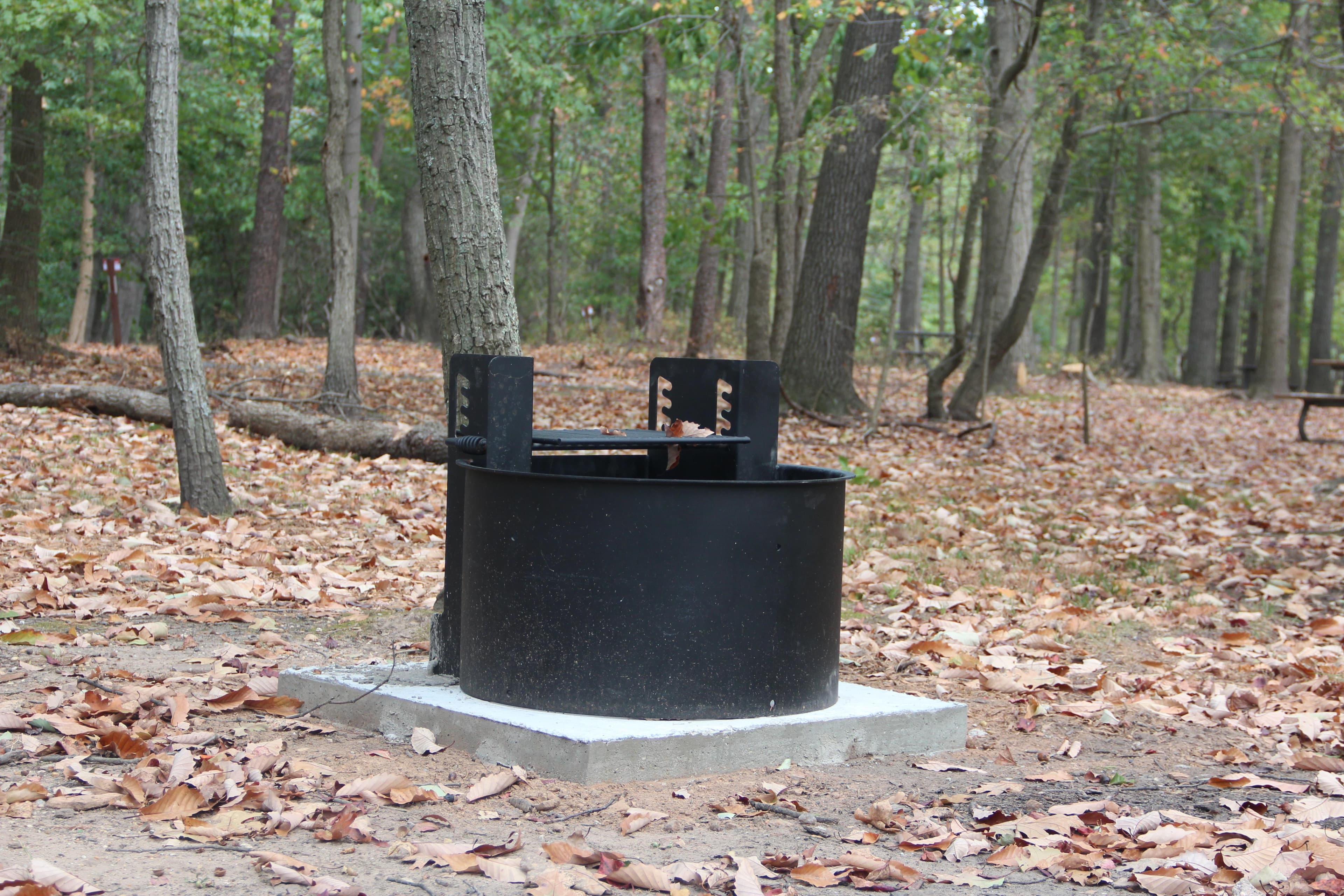 Enjoy a campfire in the new grill under the stars at Greenbelt