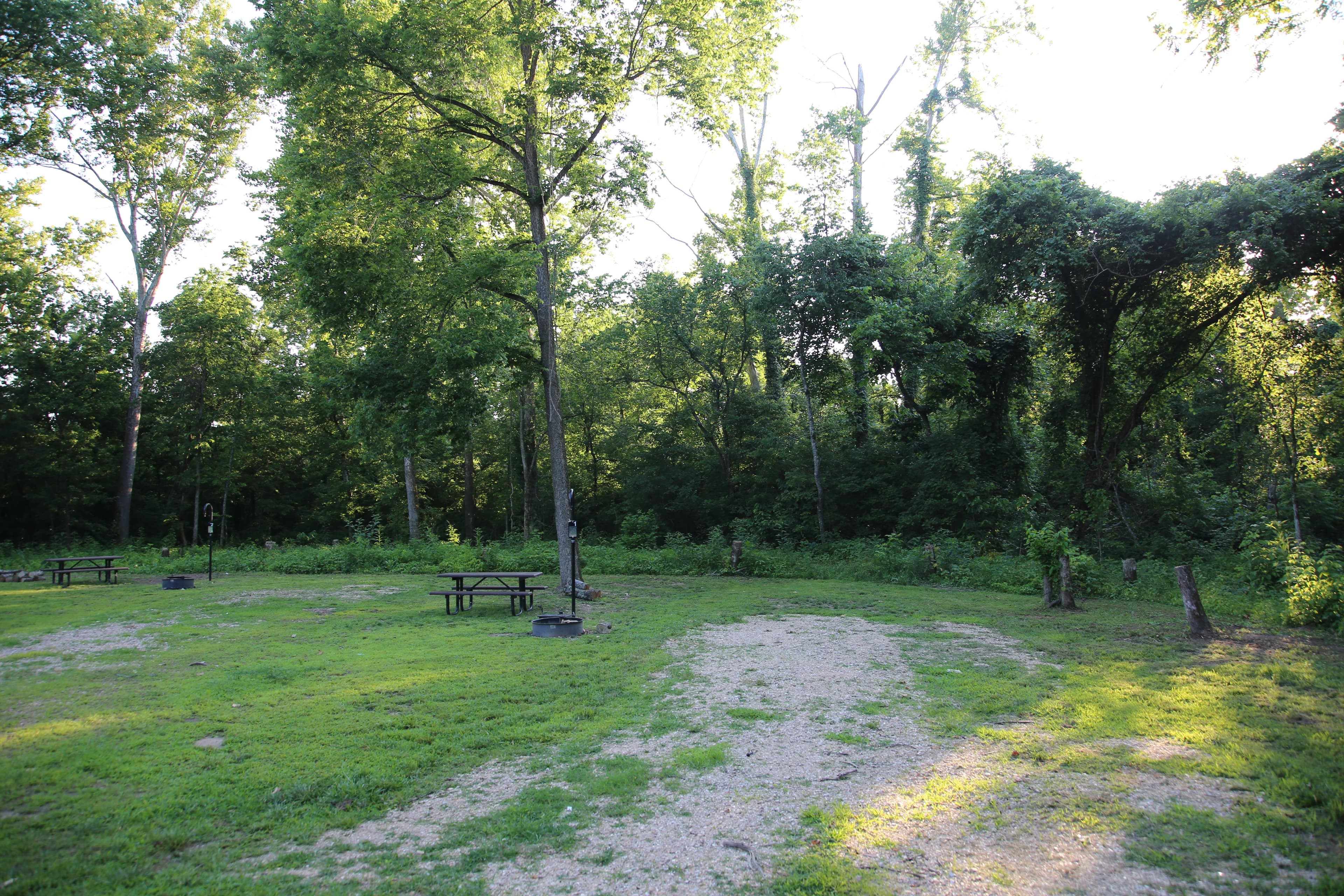 Sites at Jerktail offer a decent amount of space for tents, campers, and more. Trees provide partial shade in the morning and afternoon.