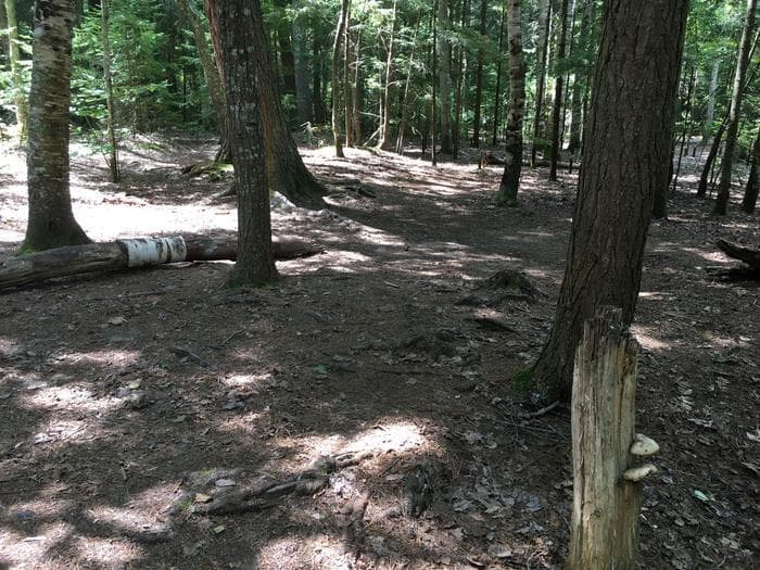 Coves Site 2.