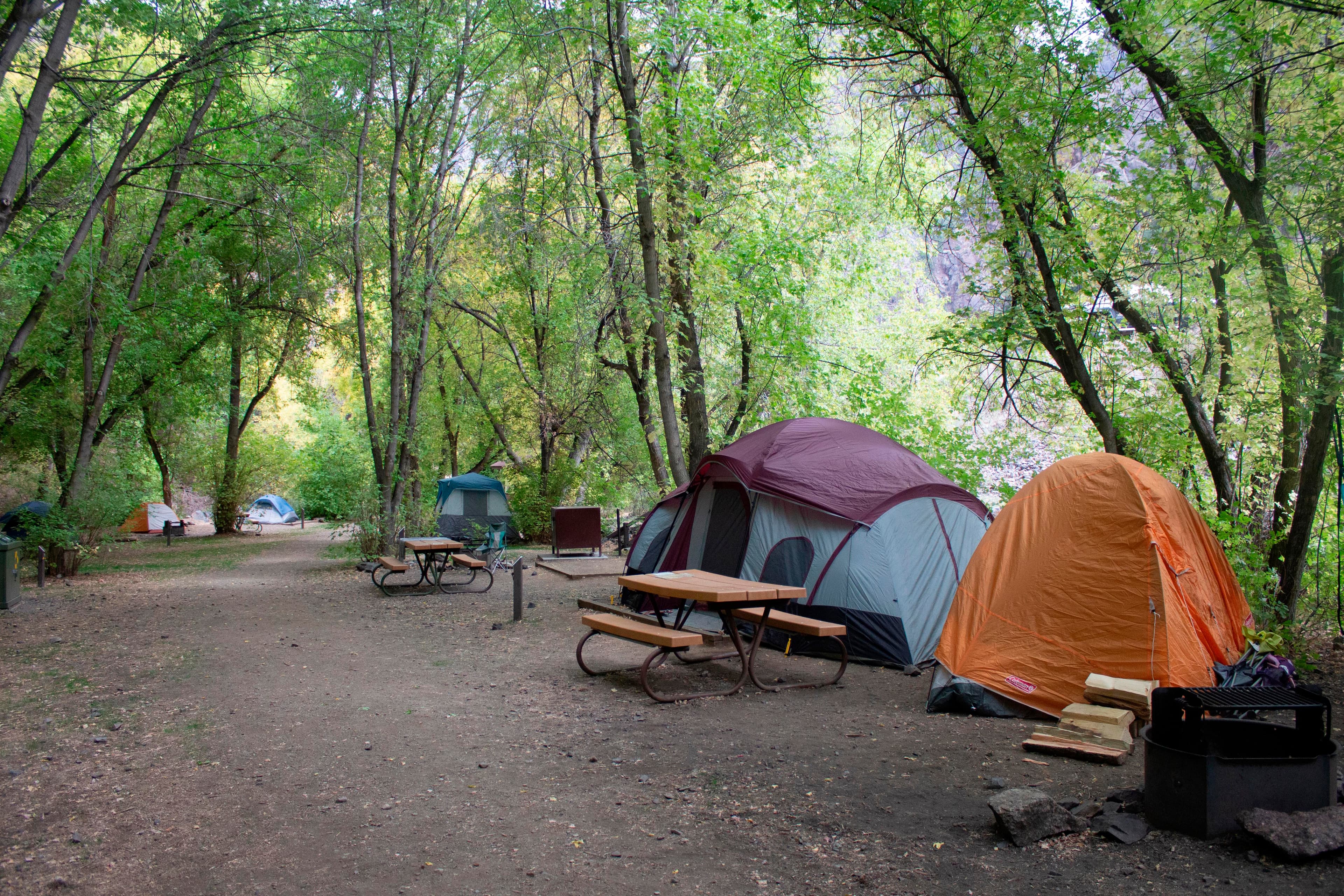 Ten of the 15 sites are walk-in tent sites.
