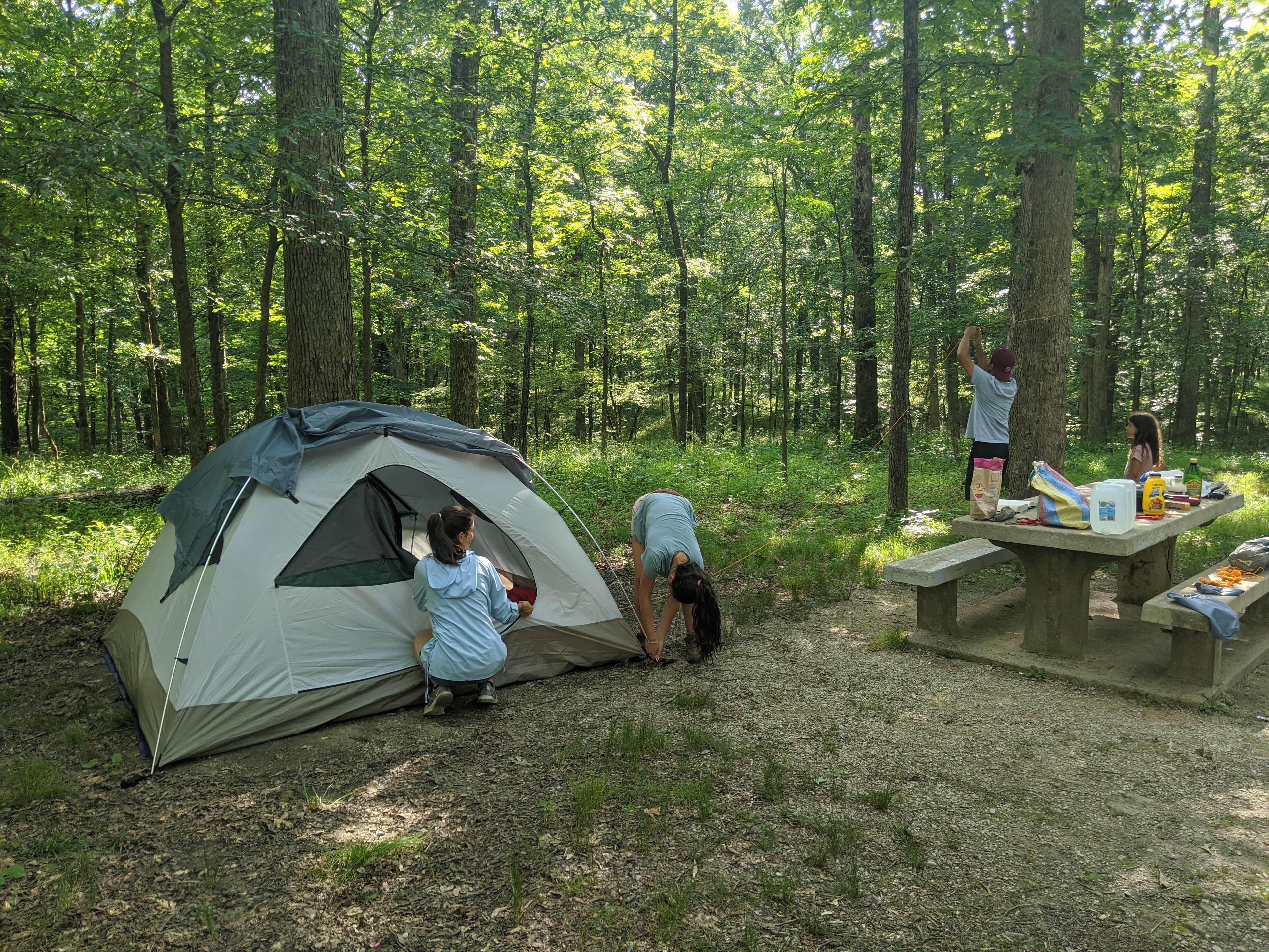 Mammoth Cave Campground