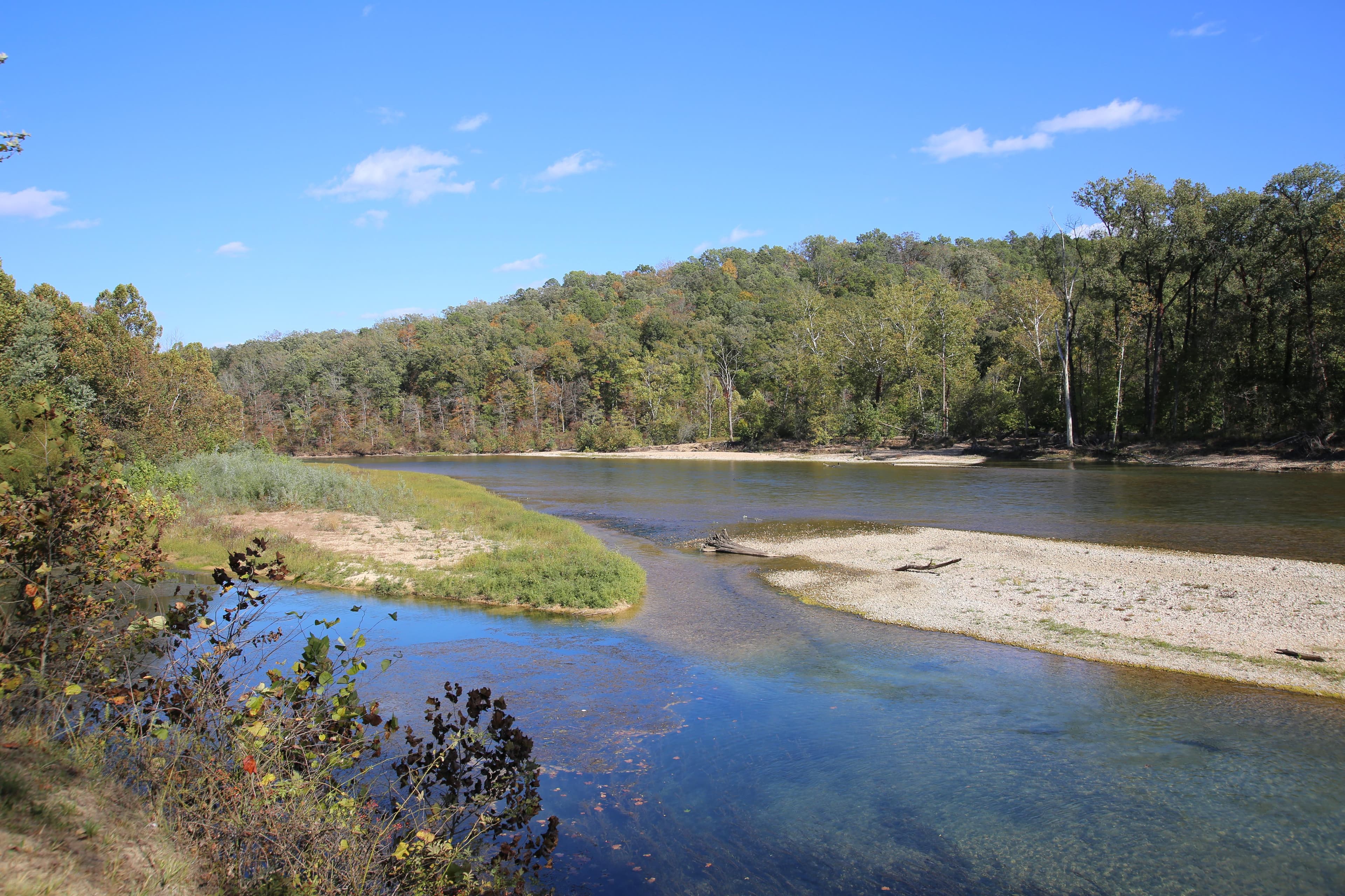 Views of the Current River are enhanced by a variety of plant life.