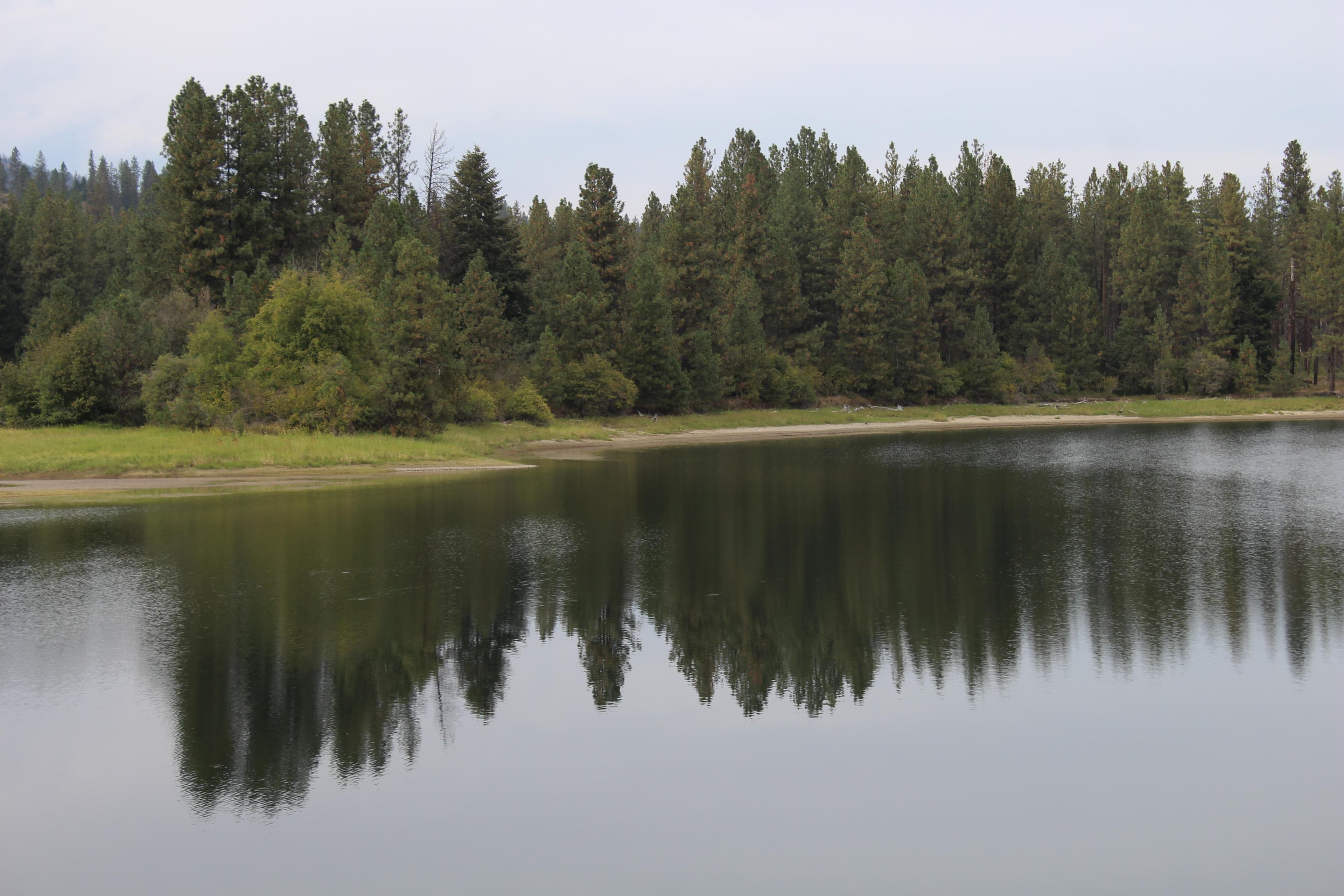 A view of the lake shore from the Evans Campground Group Site.