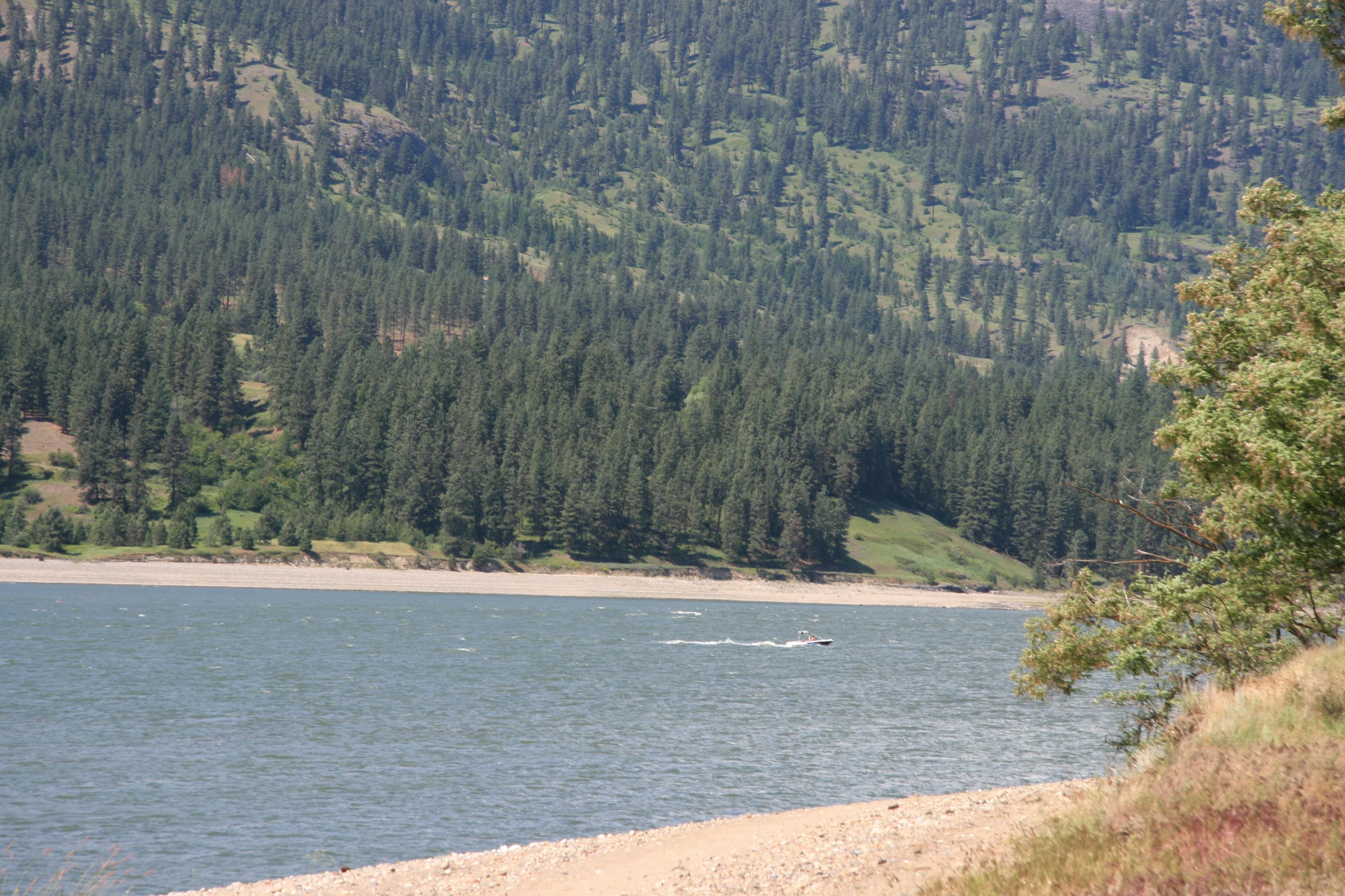 A view of the lake from near Locust Grove Campground.